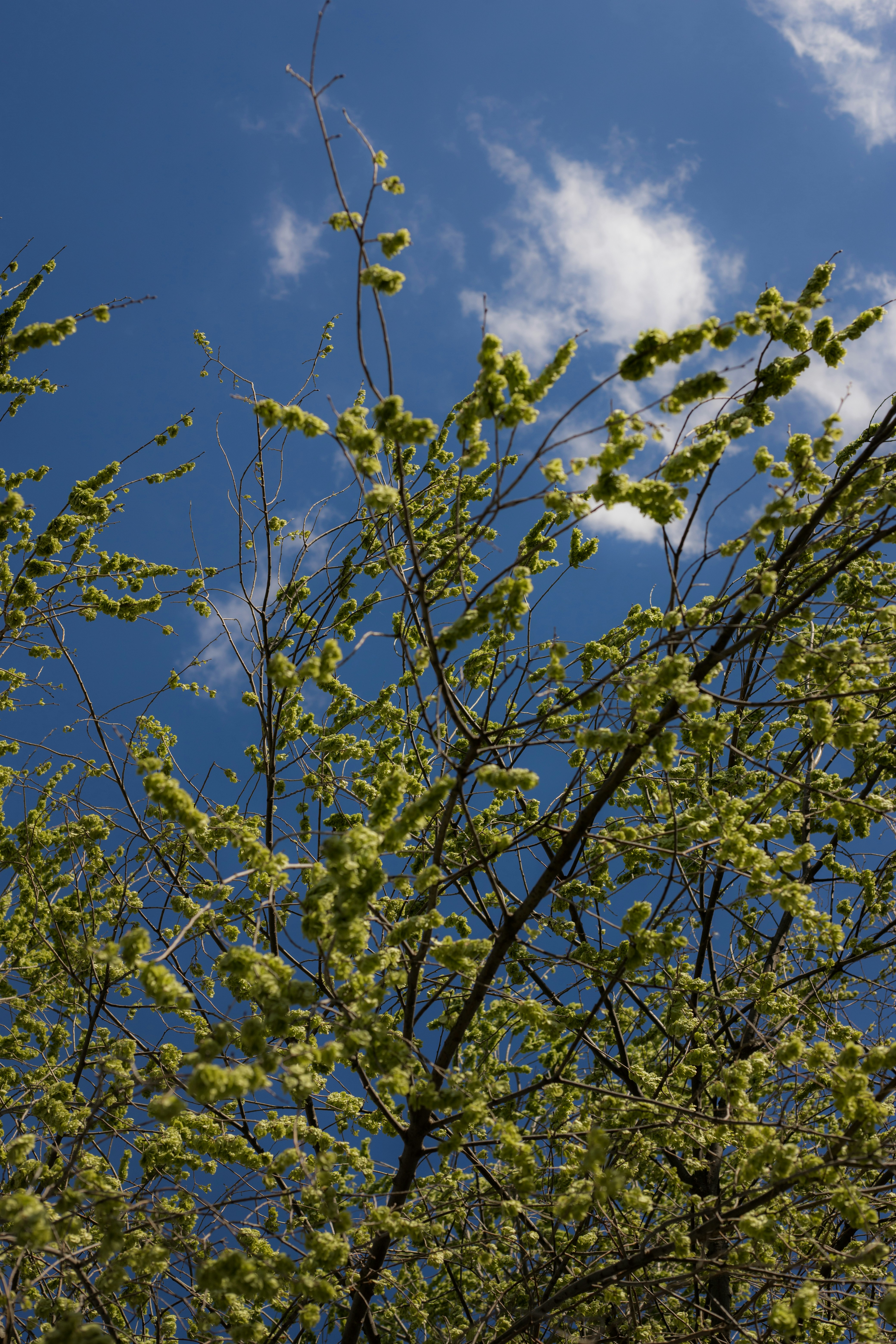 Photo by jovanvasiljevic