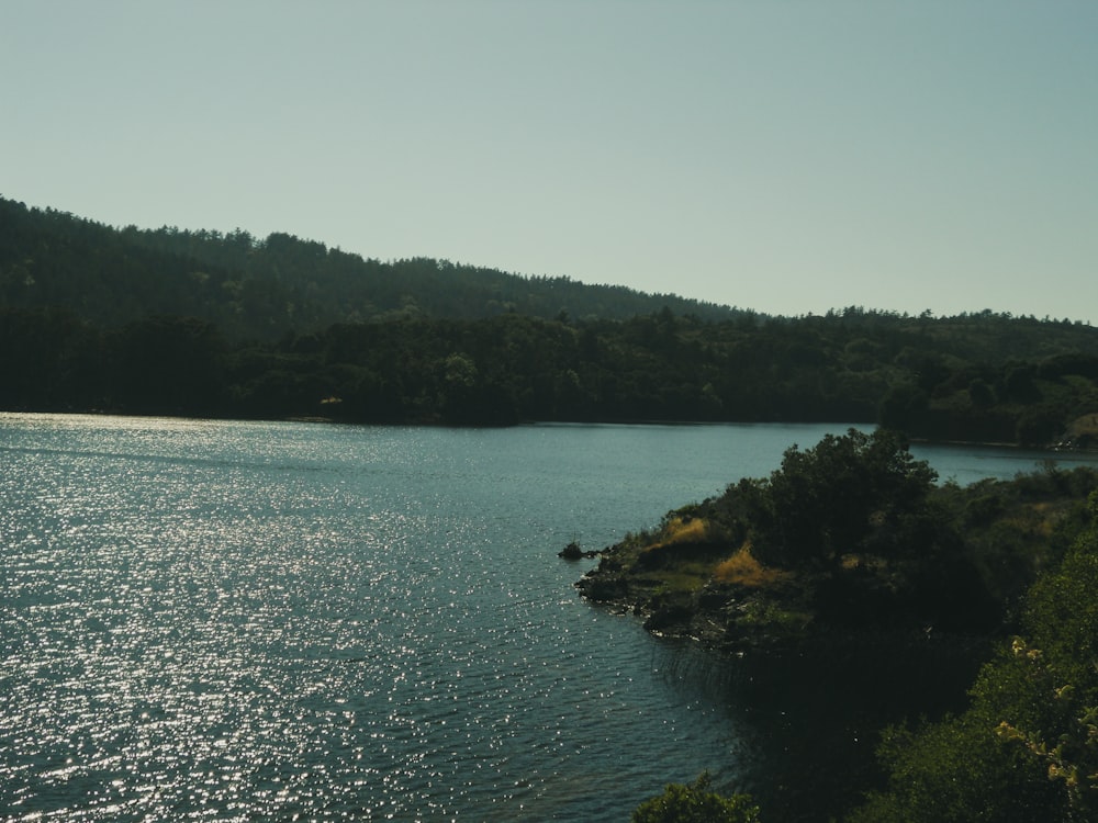 a large body of water surrounded by trees