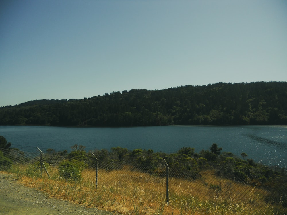 a large body of water sitting next to a lush green hillside