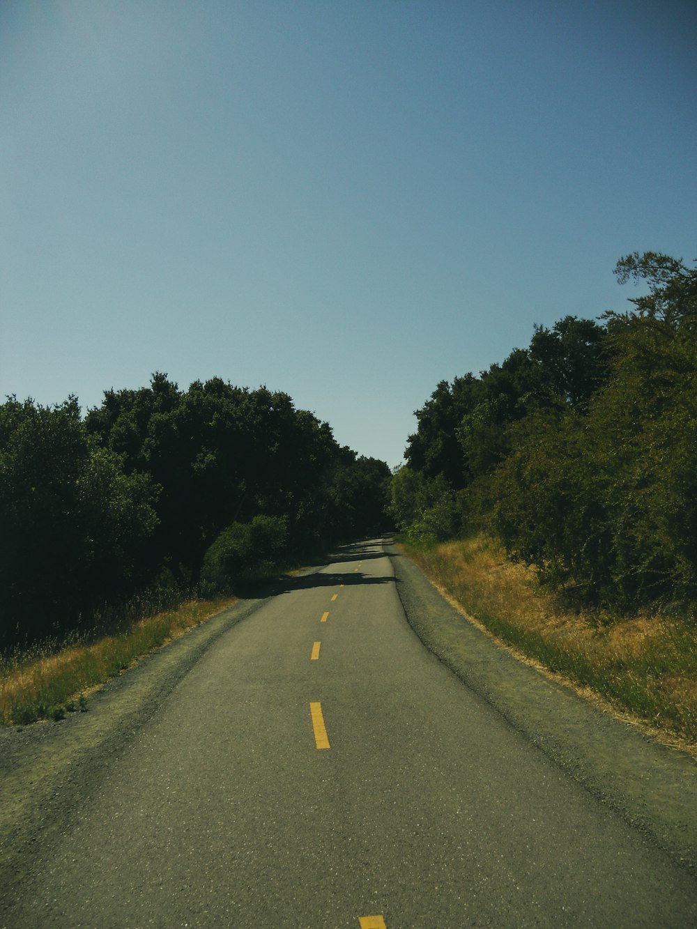 an empty road surrounded by trees and grass