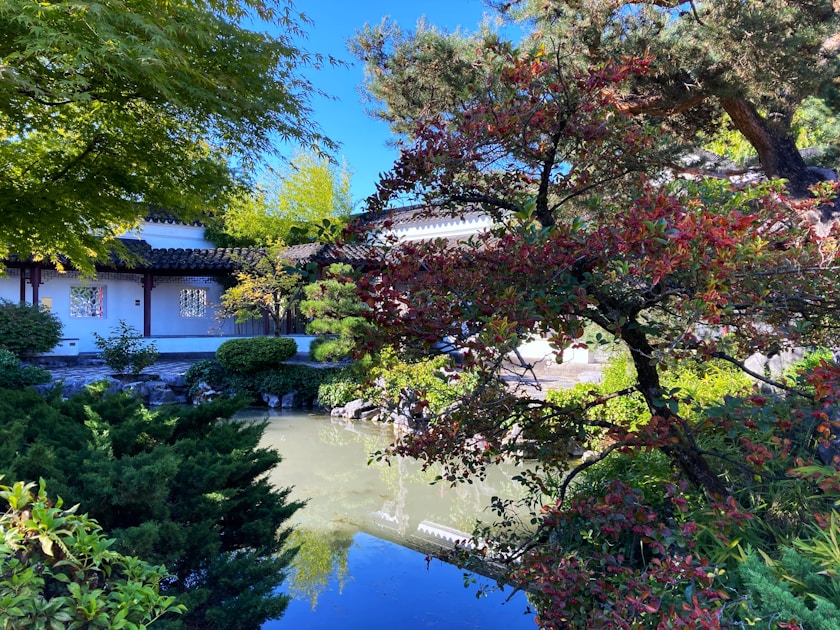 Fertigteich teichschale einbauen vor nachteile — practical guide overview