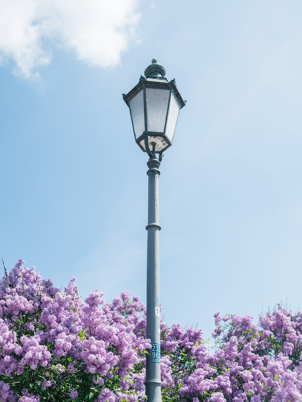 a lamp post with purple flowers on a sunny day