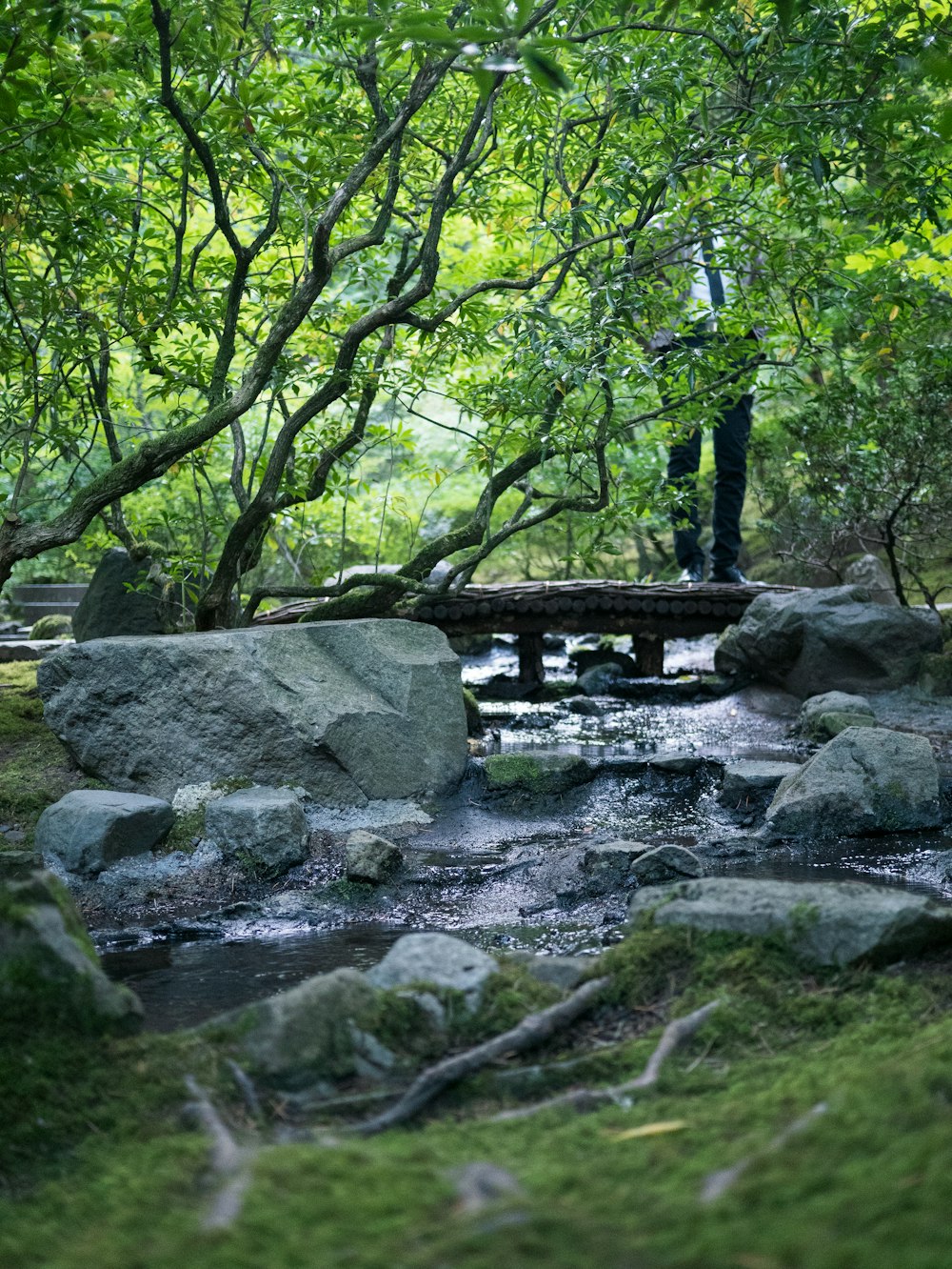 a man standing on a bridge over a creek