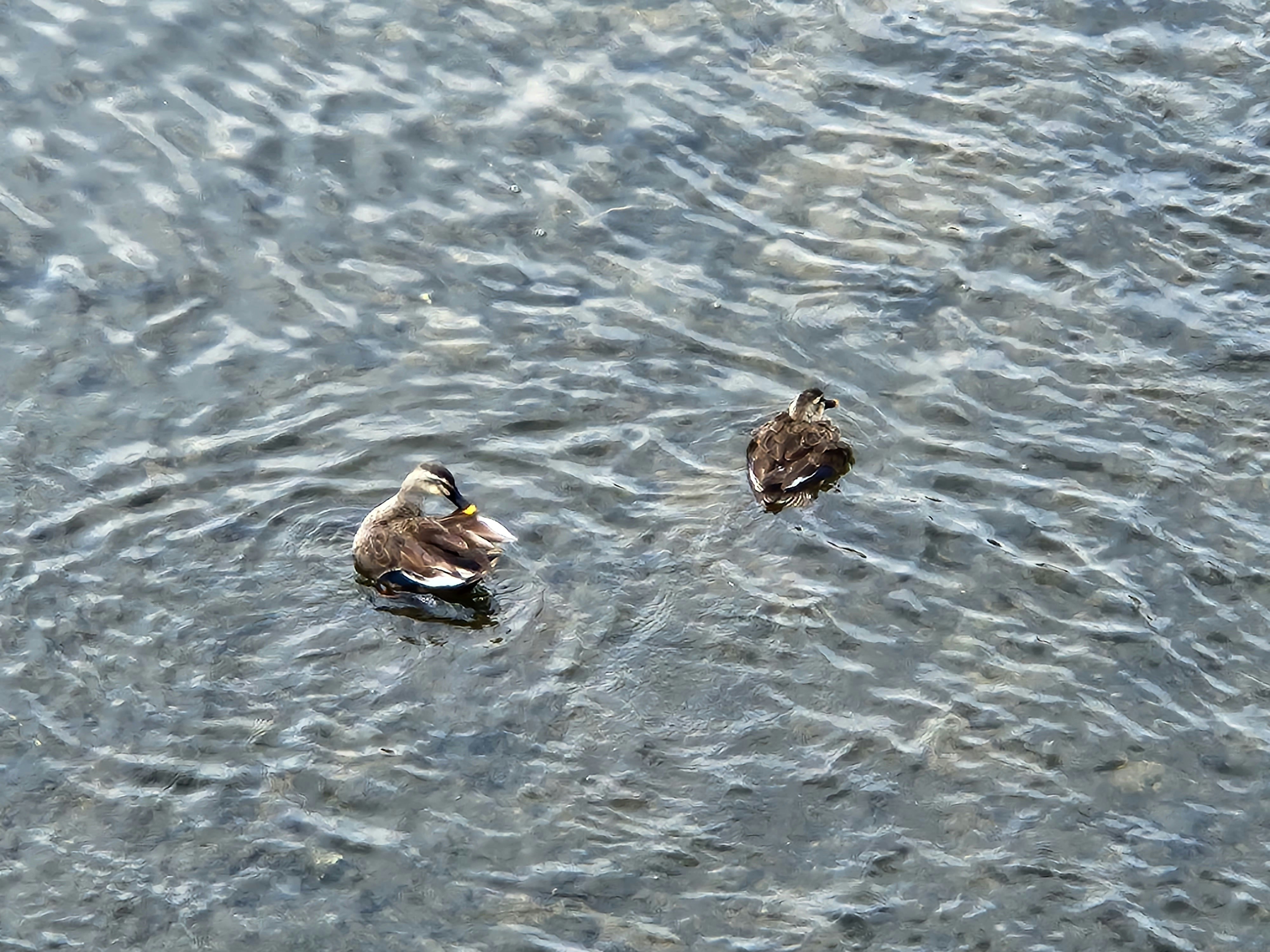 Photo by chae_won_cw