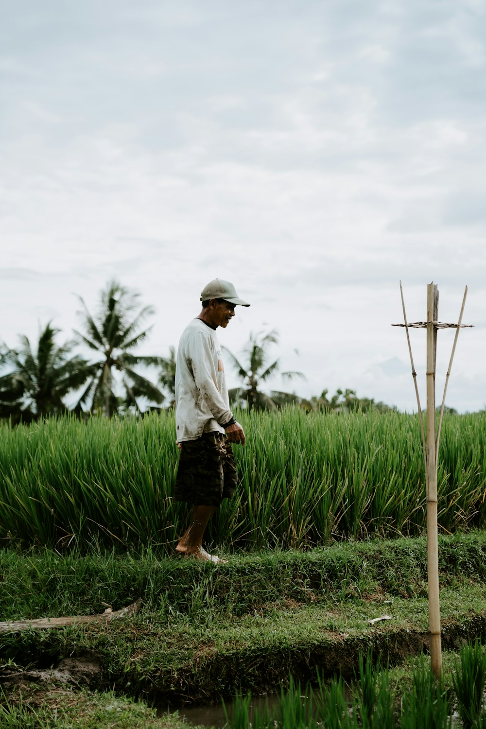 a man standing in the middle of a lush green field