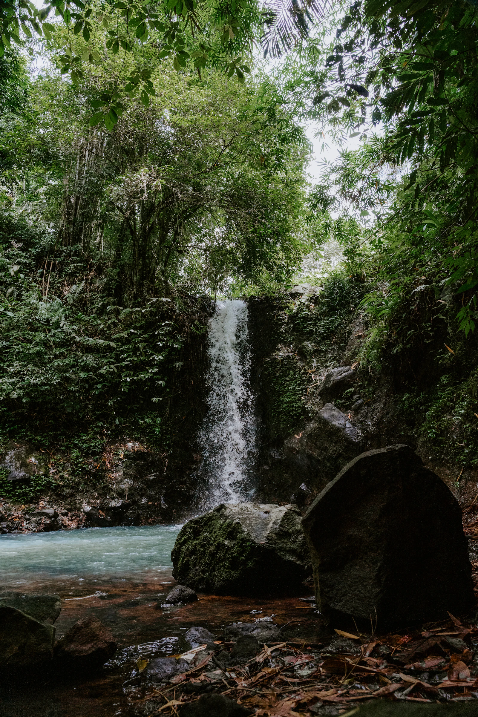 1-Day Sekumpul 7-Tiered Waterfall & Hidden Canyon Jungle Expedition