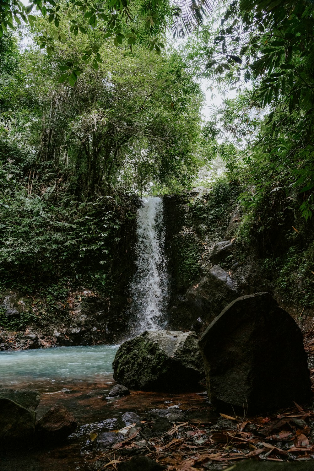 a small waterfall in the middle of a forest