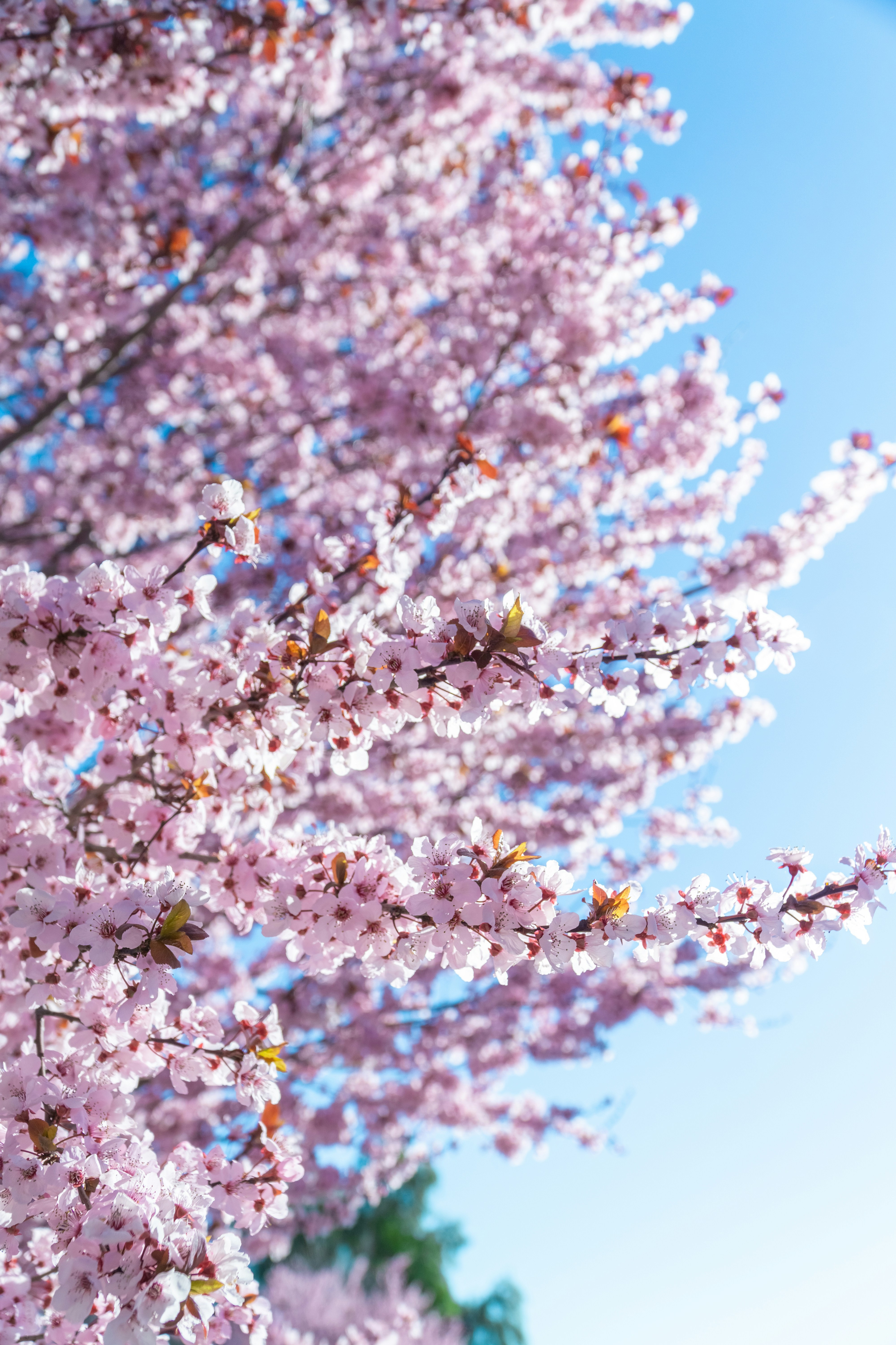 Photo by spencer_demera