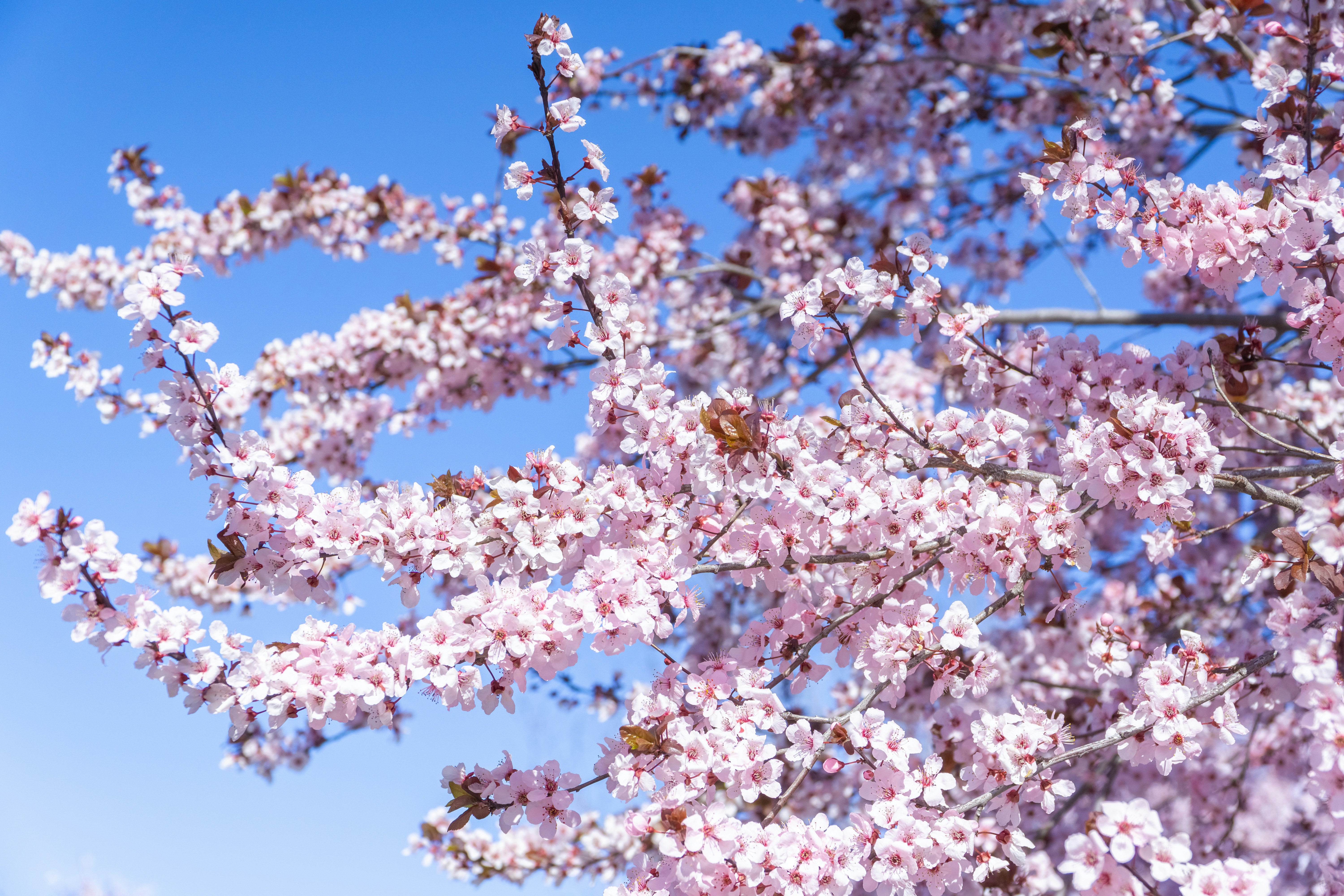 Photo by spencer_demera