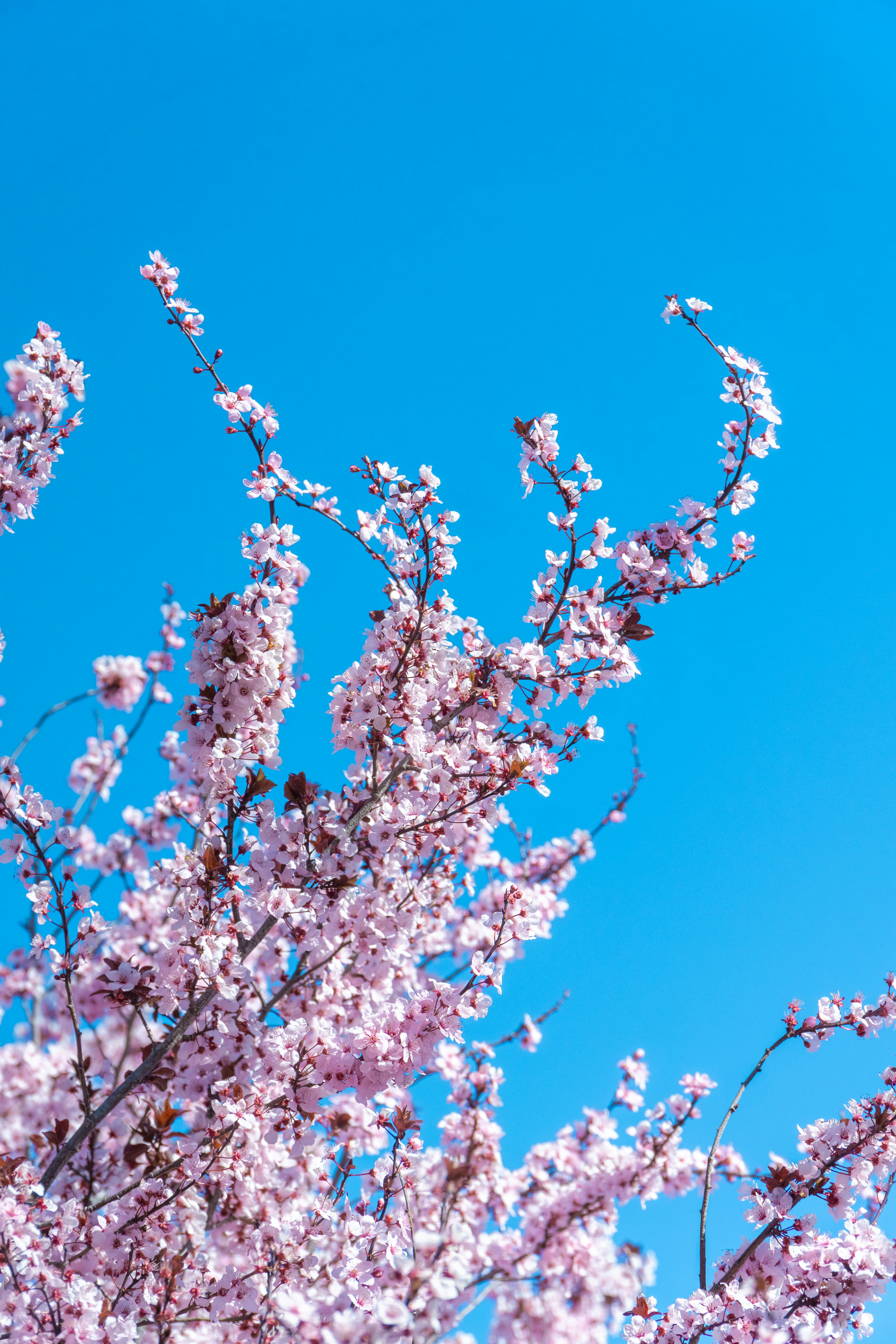 Photo by spencer_demera