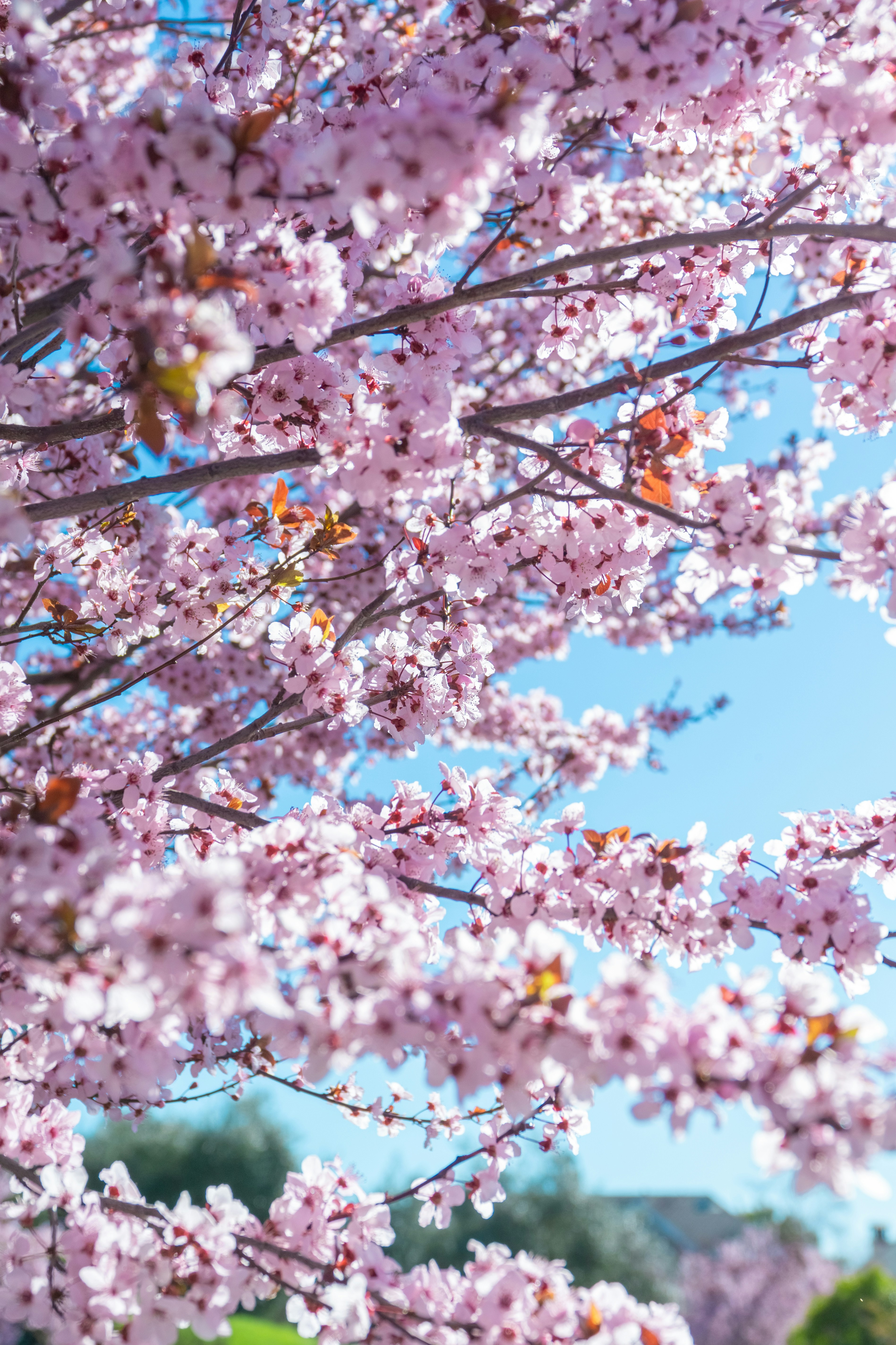 Photo by spencer_demera