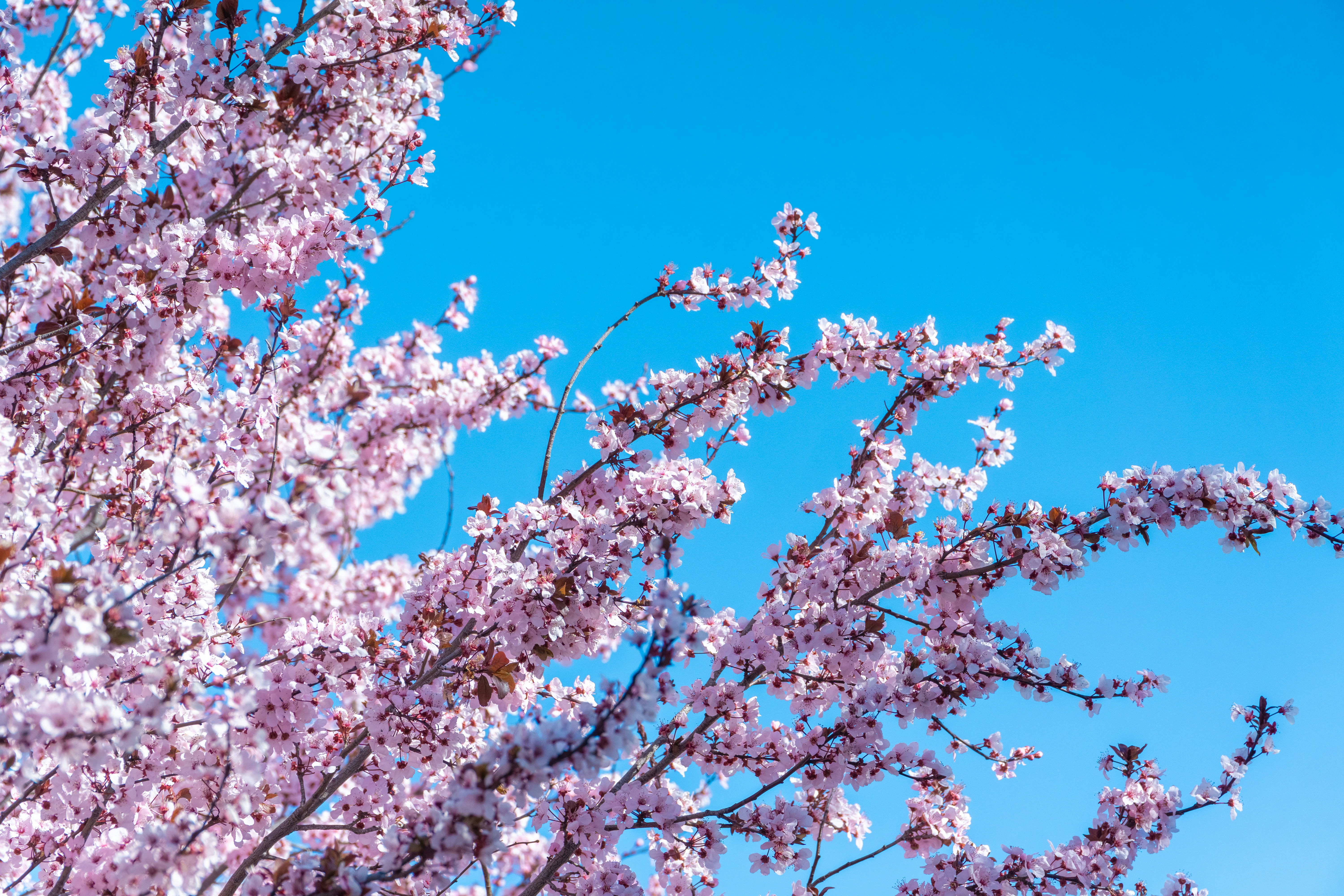 Photo by spencer_demera