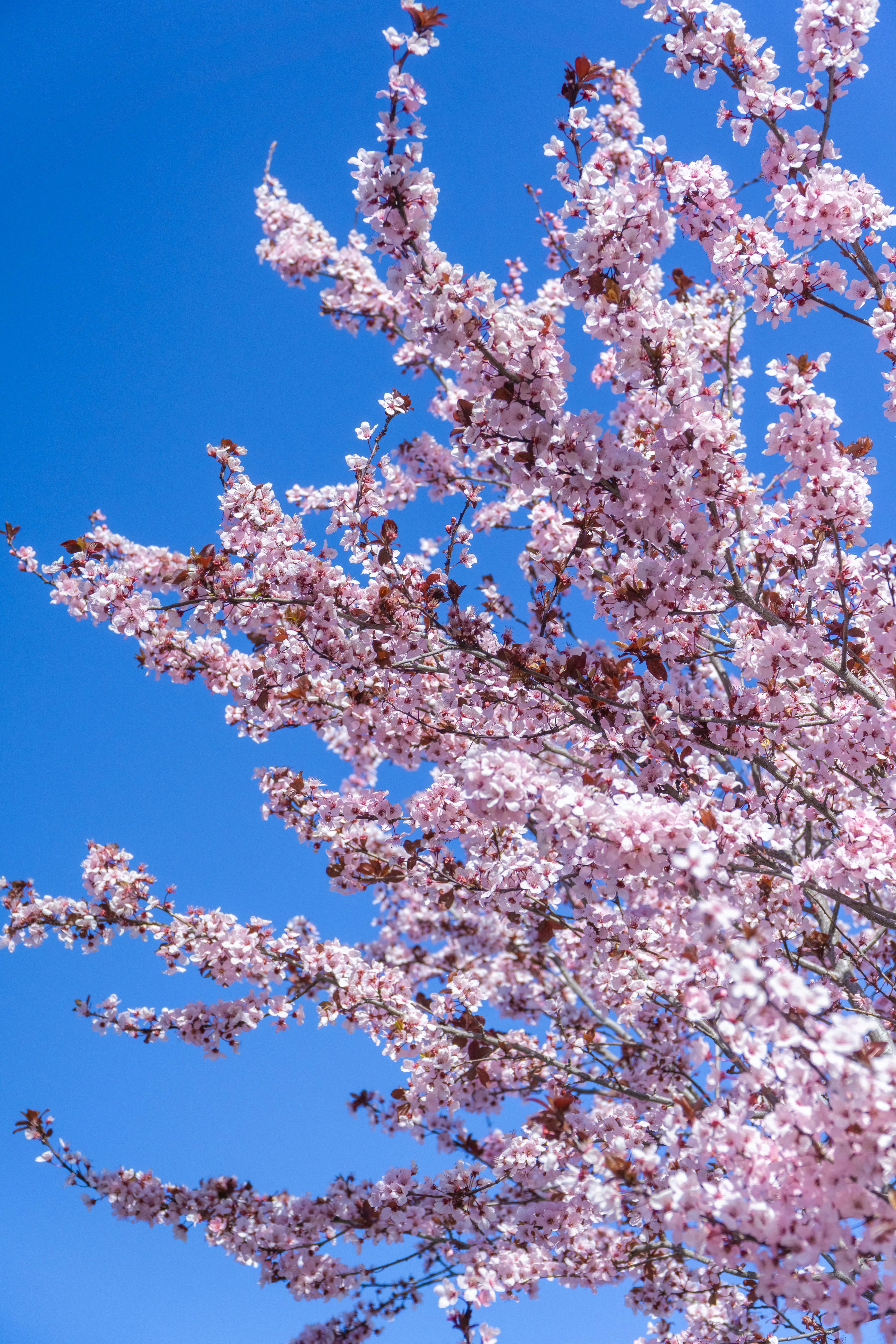 Photo by spencer_demera