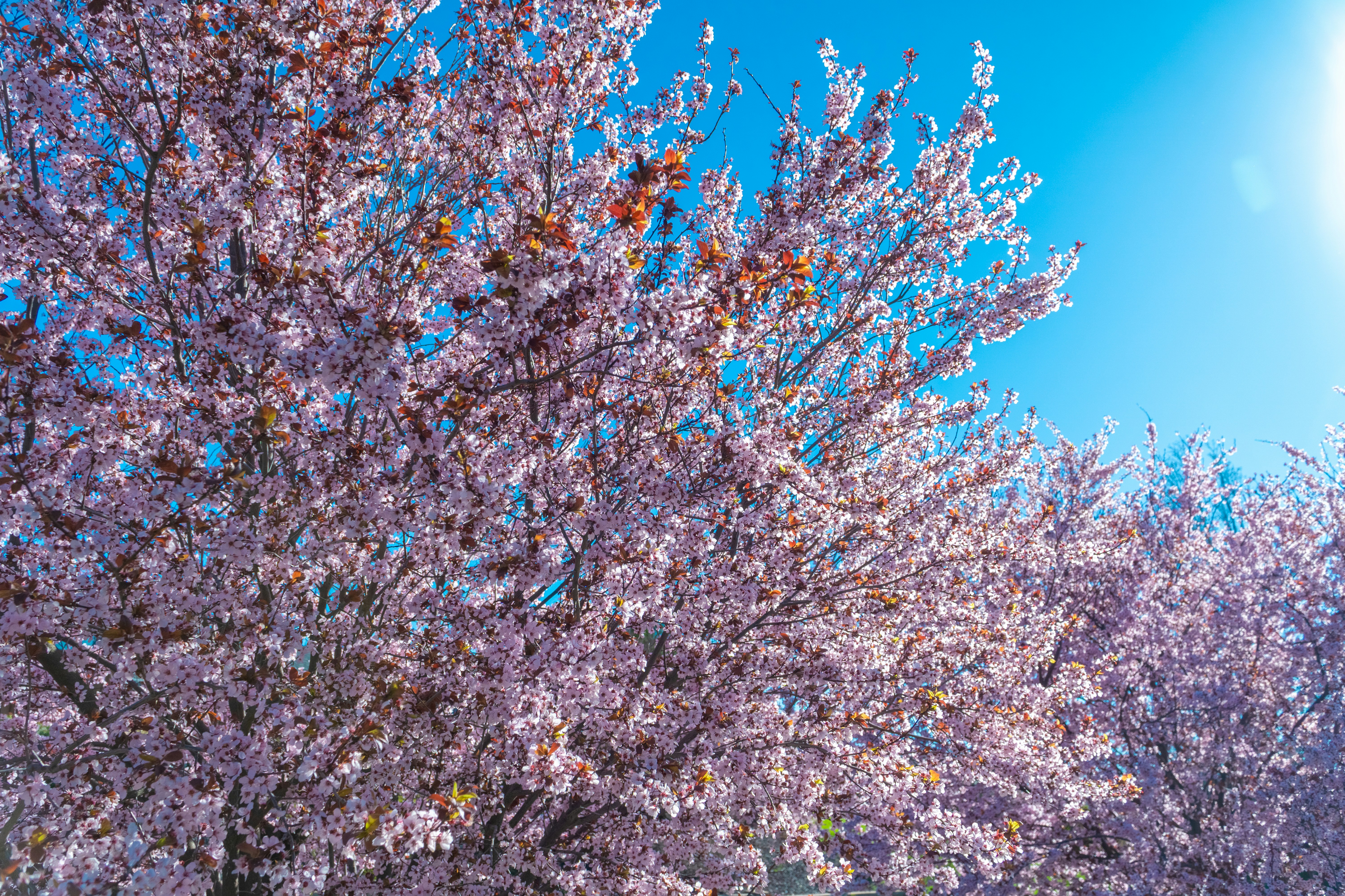 Photo by spencer_demera