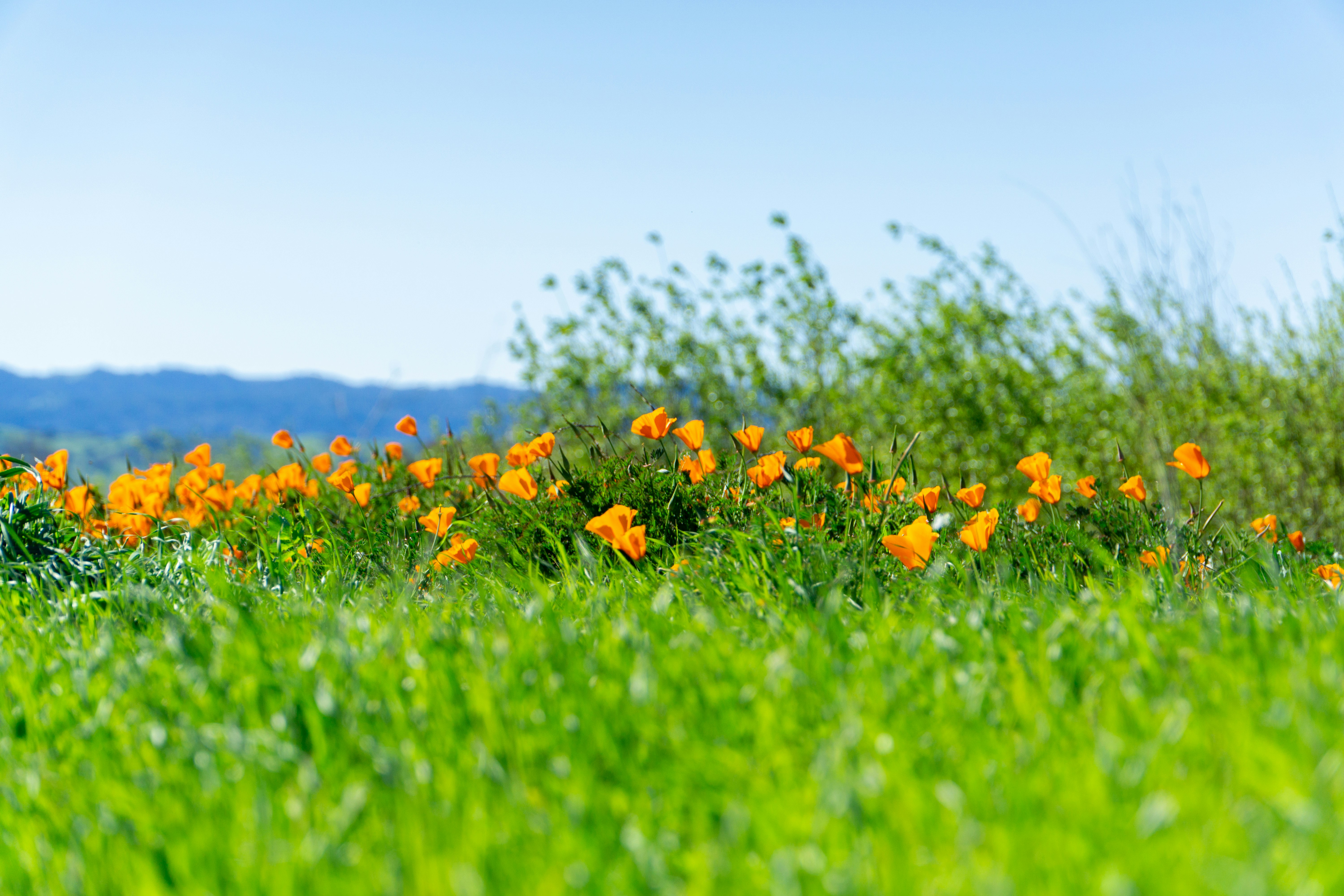 Photo by spencer_demera