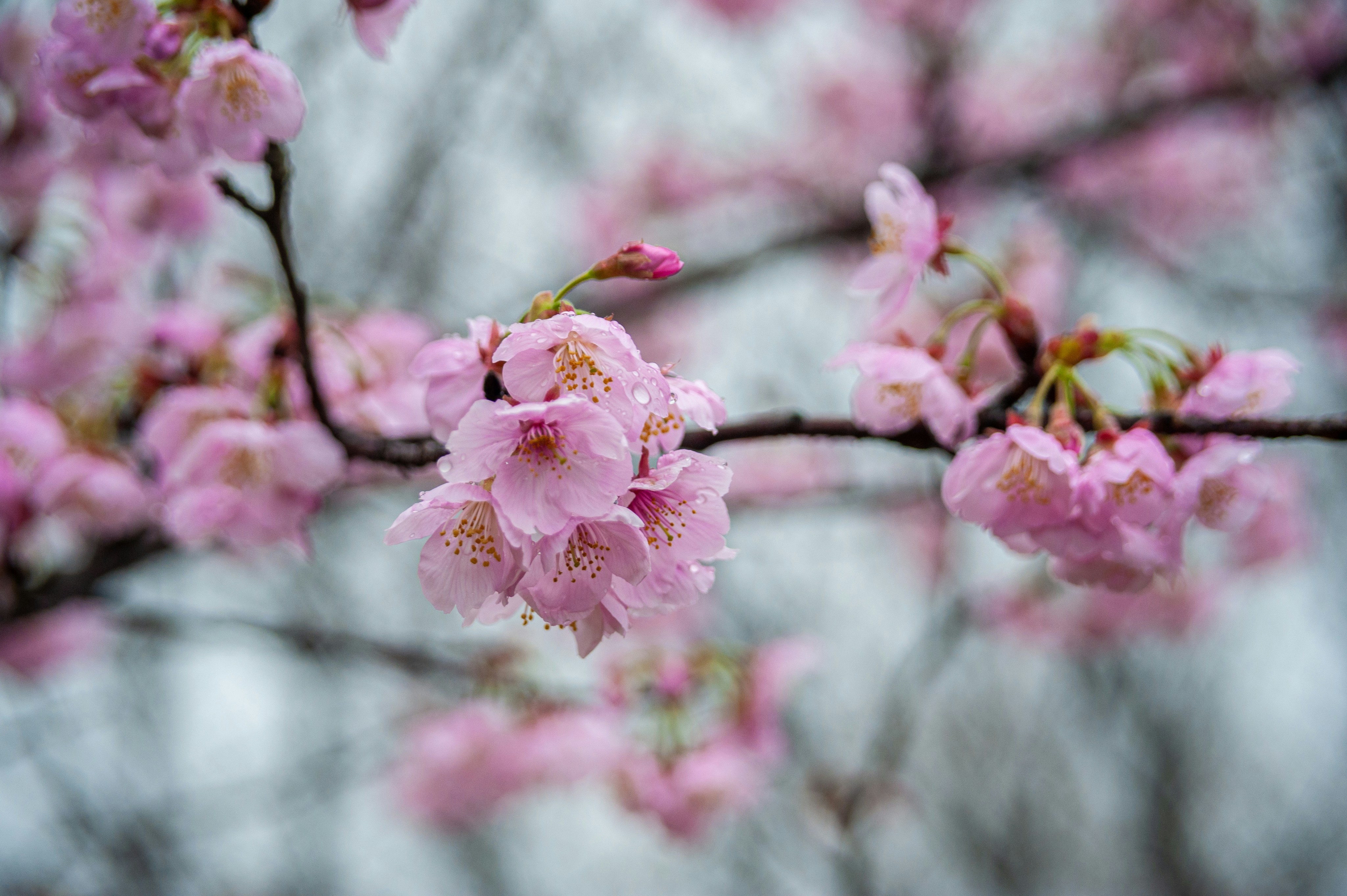 Photo by kevinwang413156