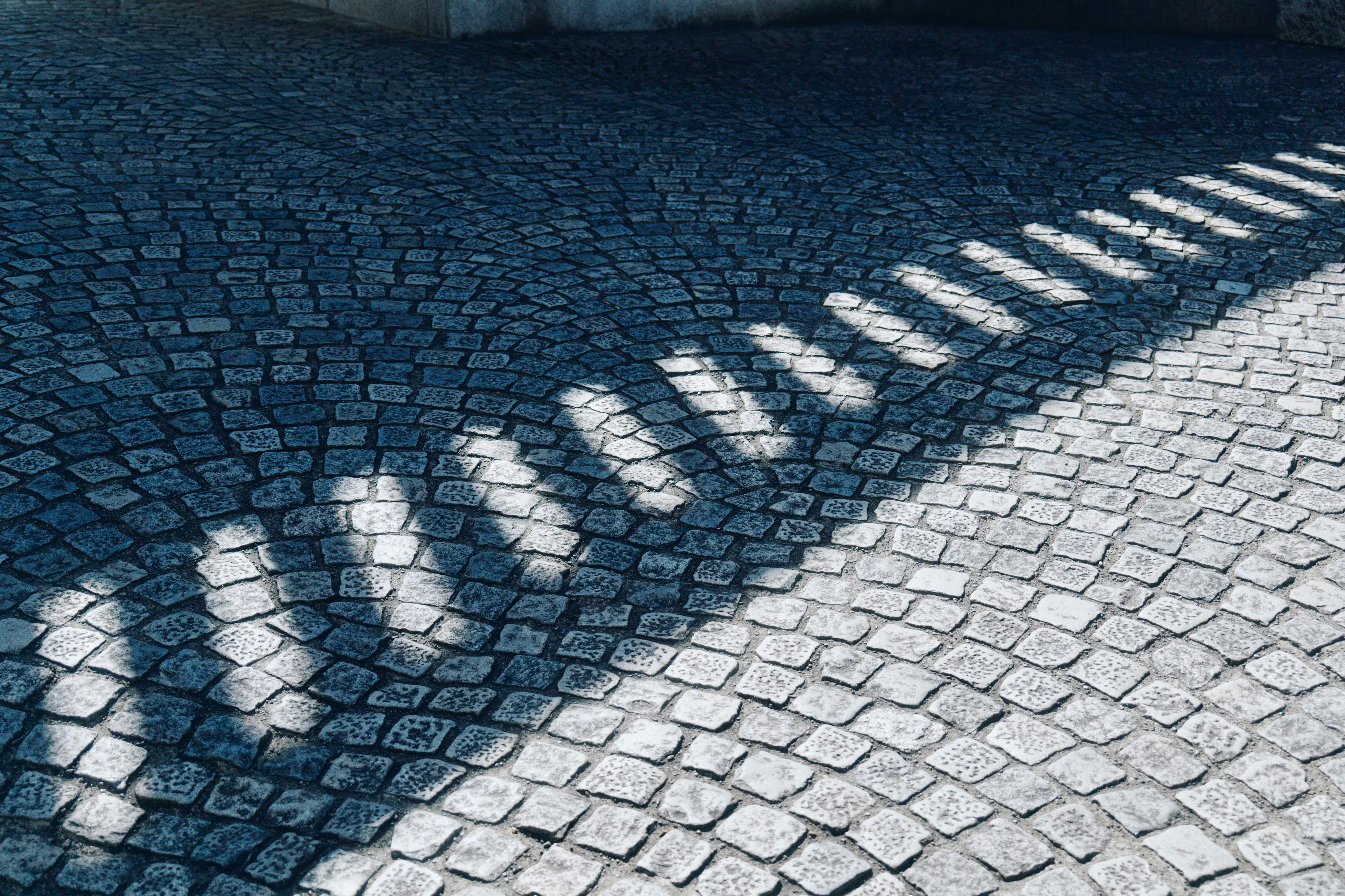 Photo by okuyama_leo