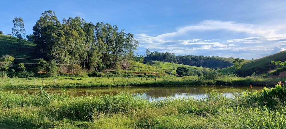 a river running through a lush green hillside