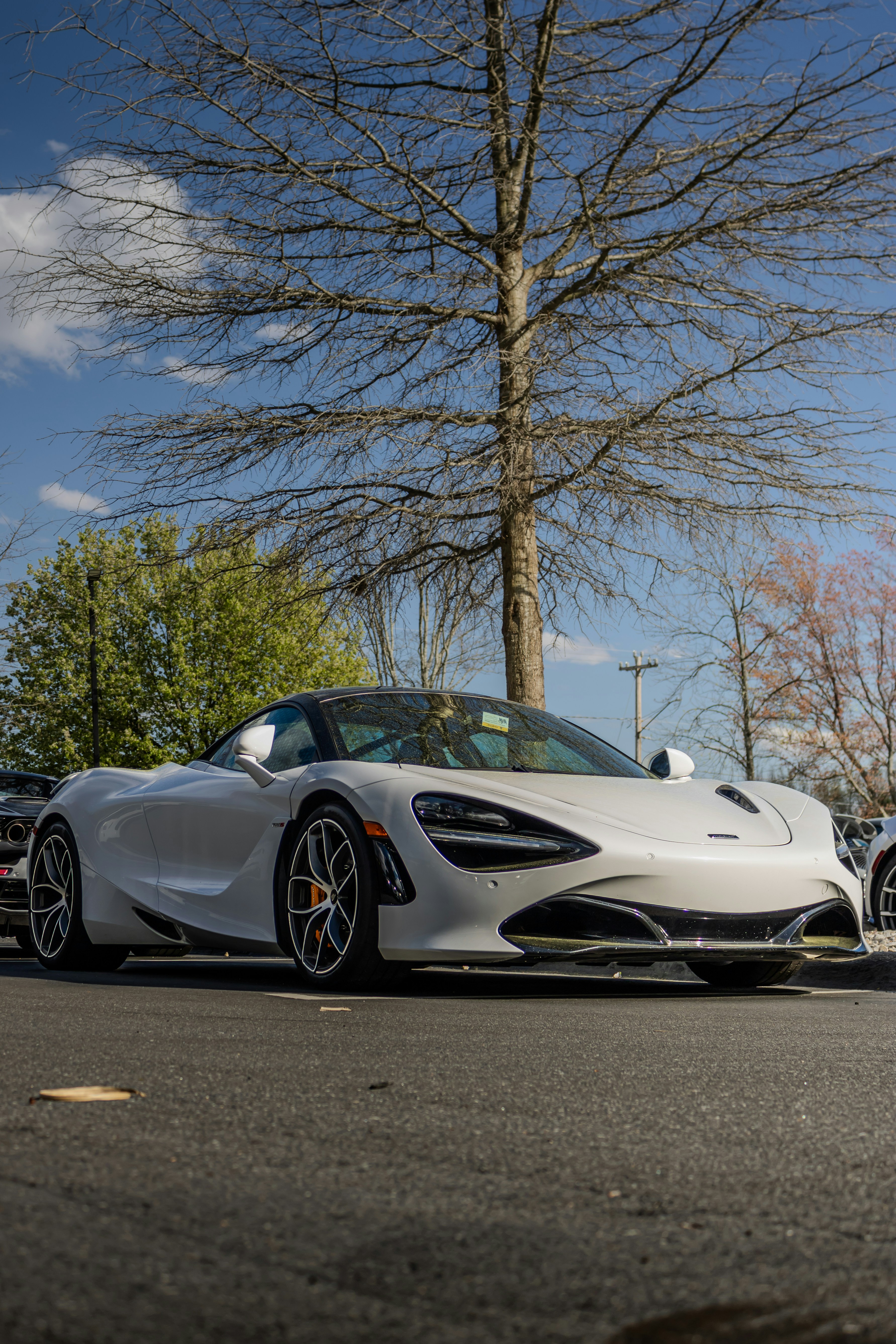 Photo by swanny__photography