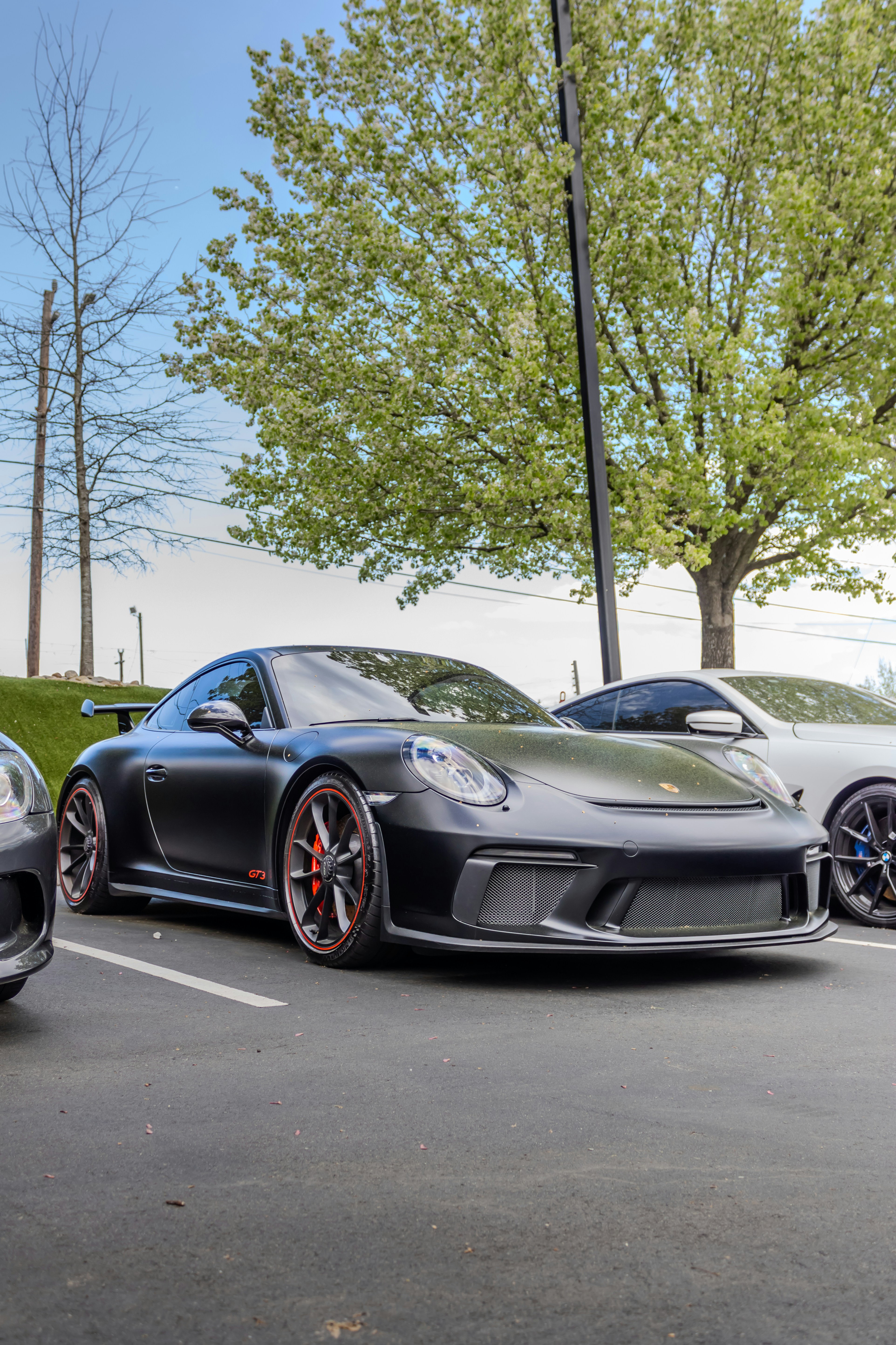 Photo by swanny__photography