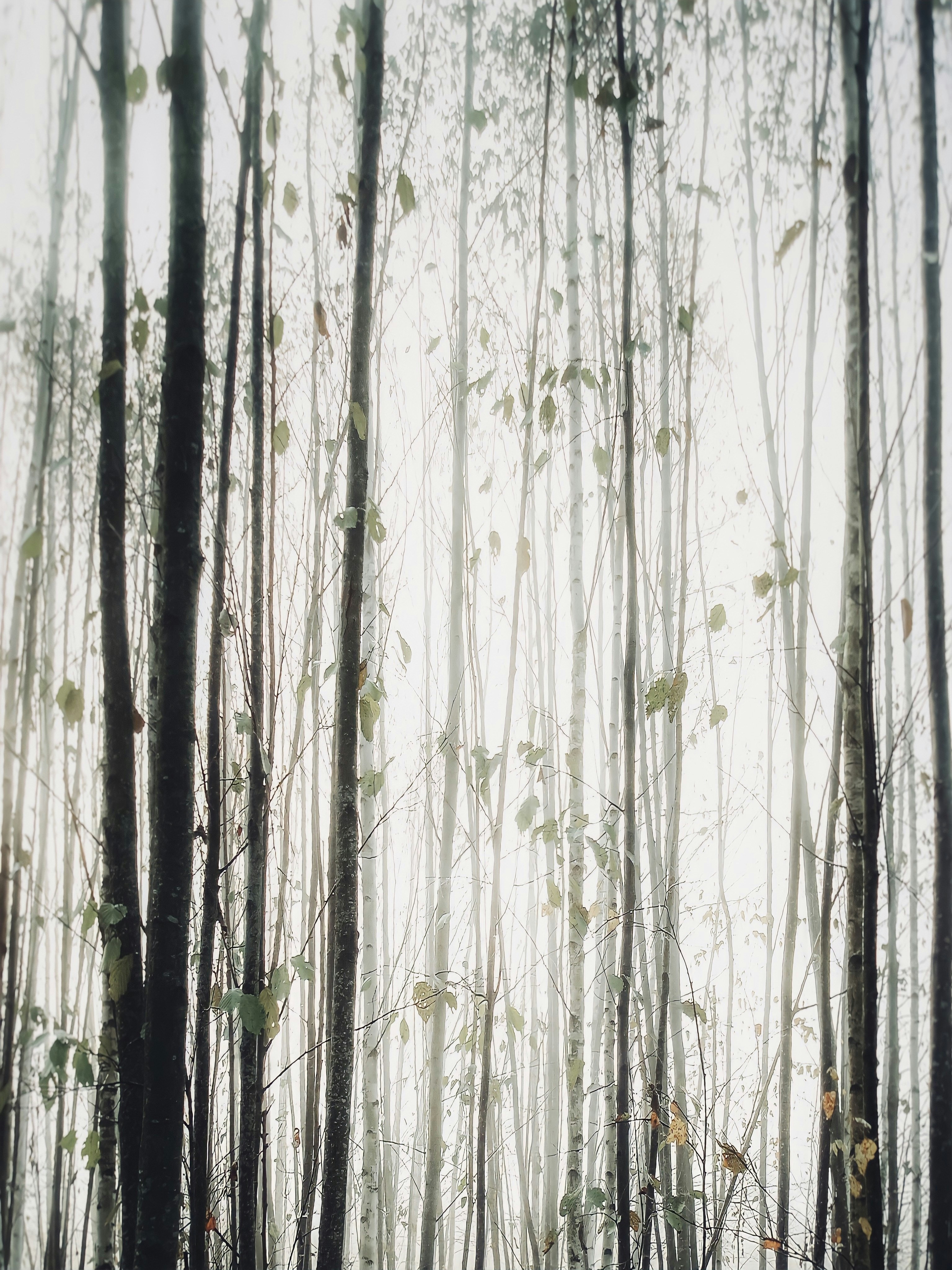 Photo by eugene_golovesov