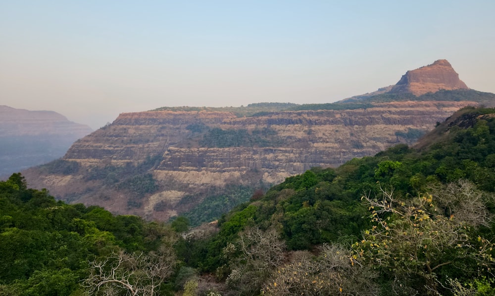 a view of a mountain with trees on the side of it