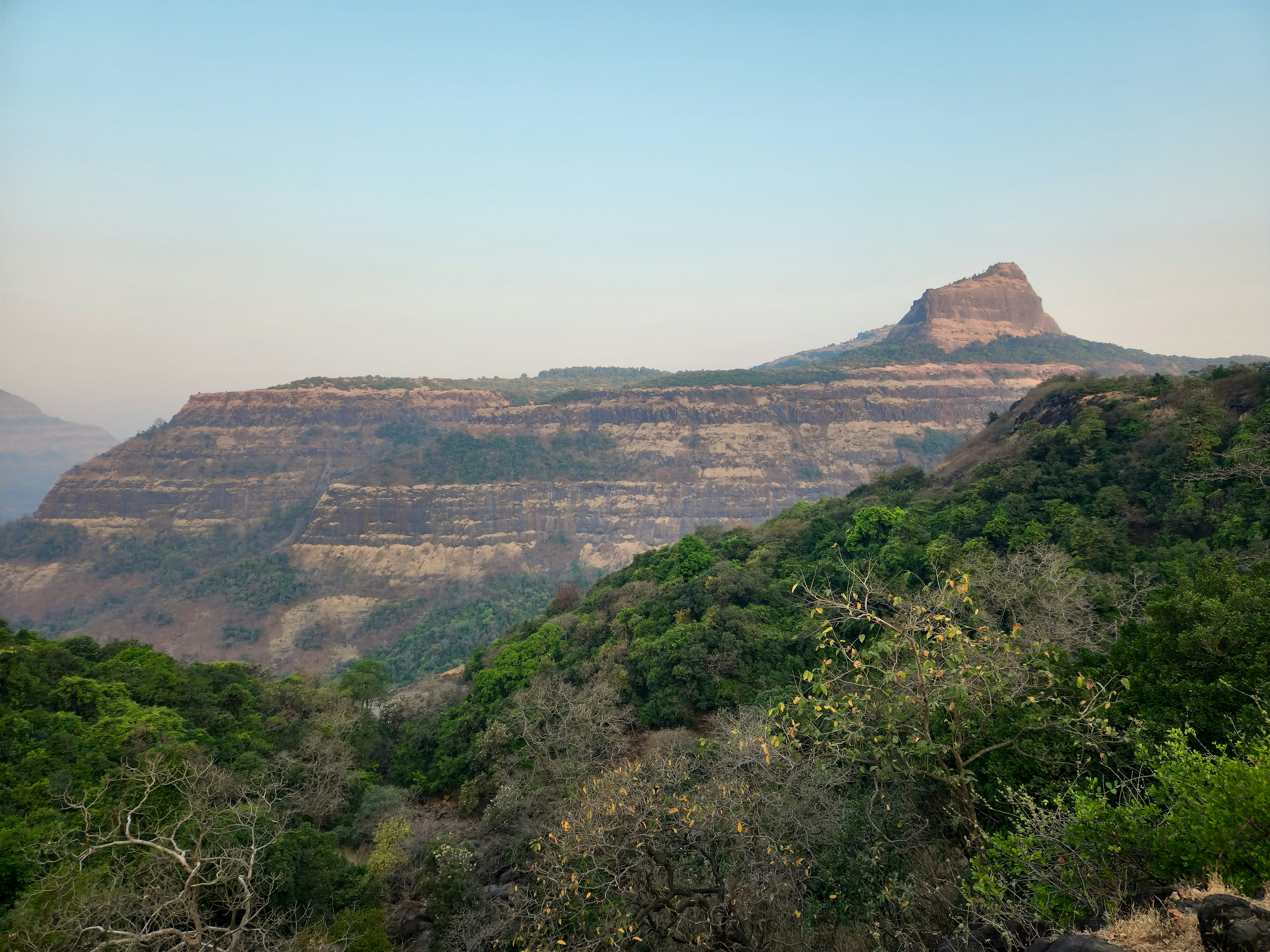 Photo by zoshuacolah