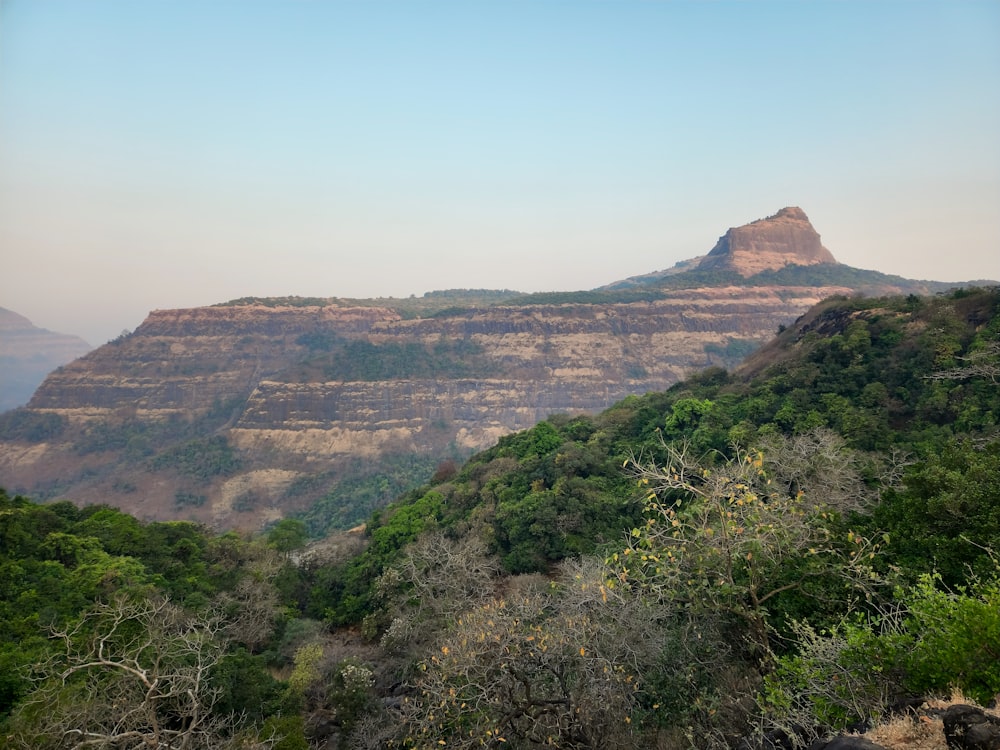 a view of a mountain with trees and bushes