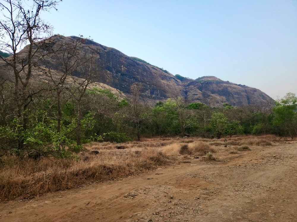 a dirt road surrounded by trees and mountains