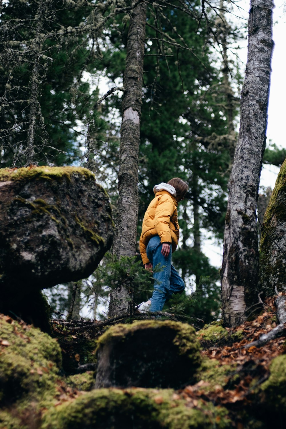 una persona in piedi su una roccia coperta di muschio nel bosco