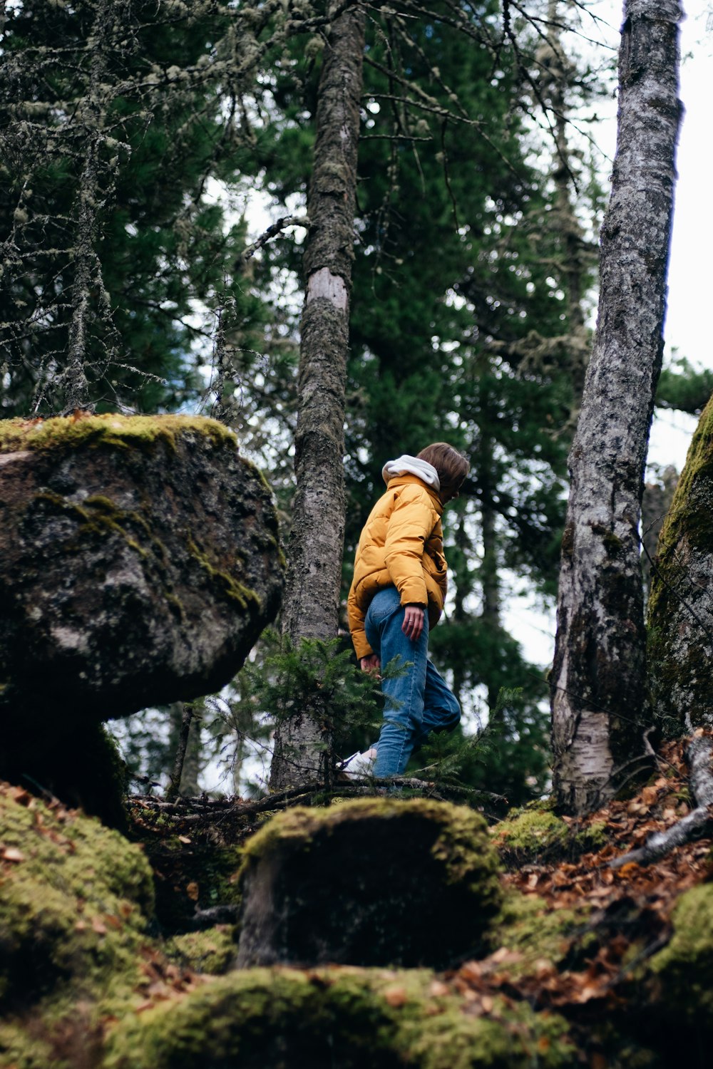 a person standing on a moss covered rock in the woods