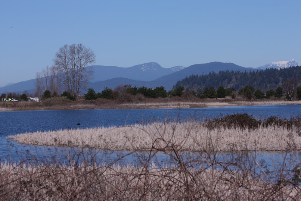 a body of water surrounded by trees and mountains