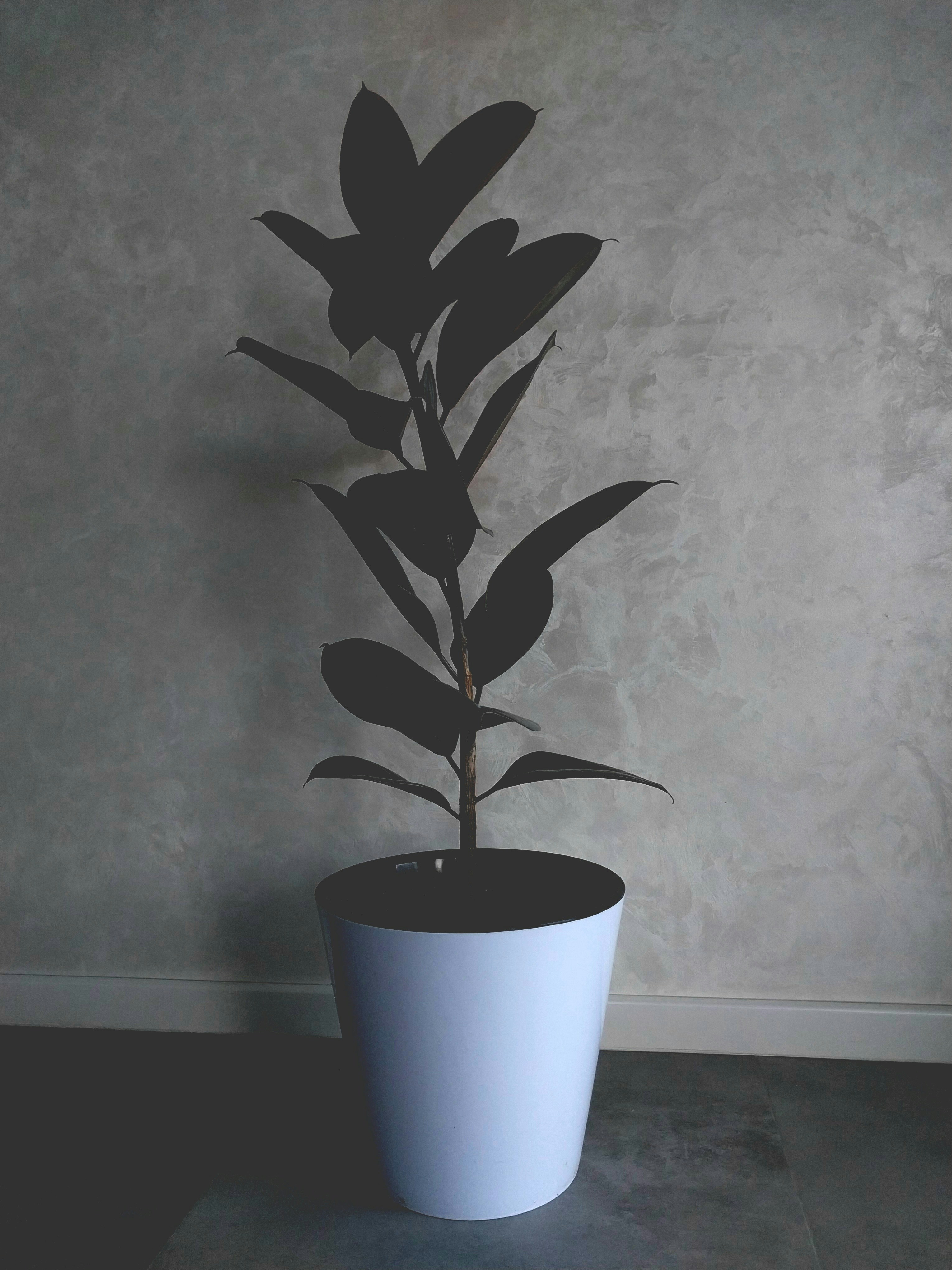 Photo by unsplash_official