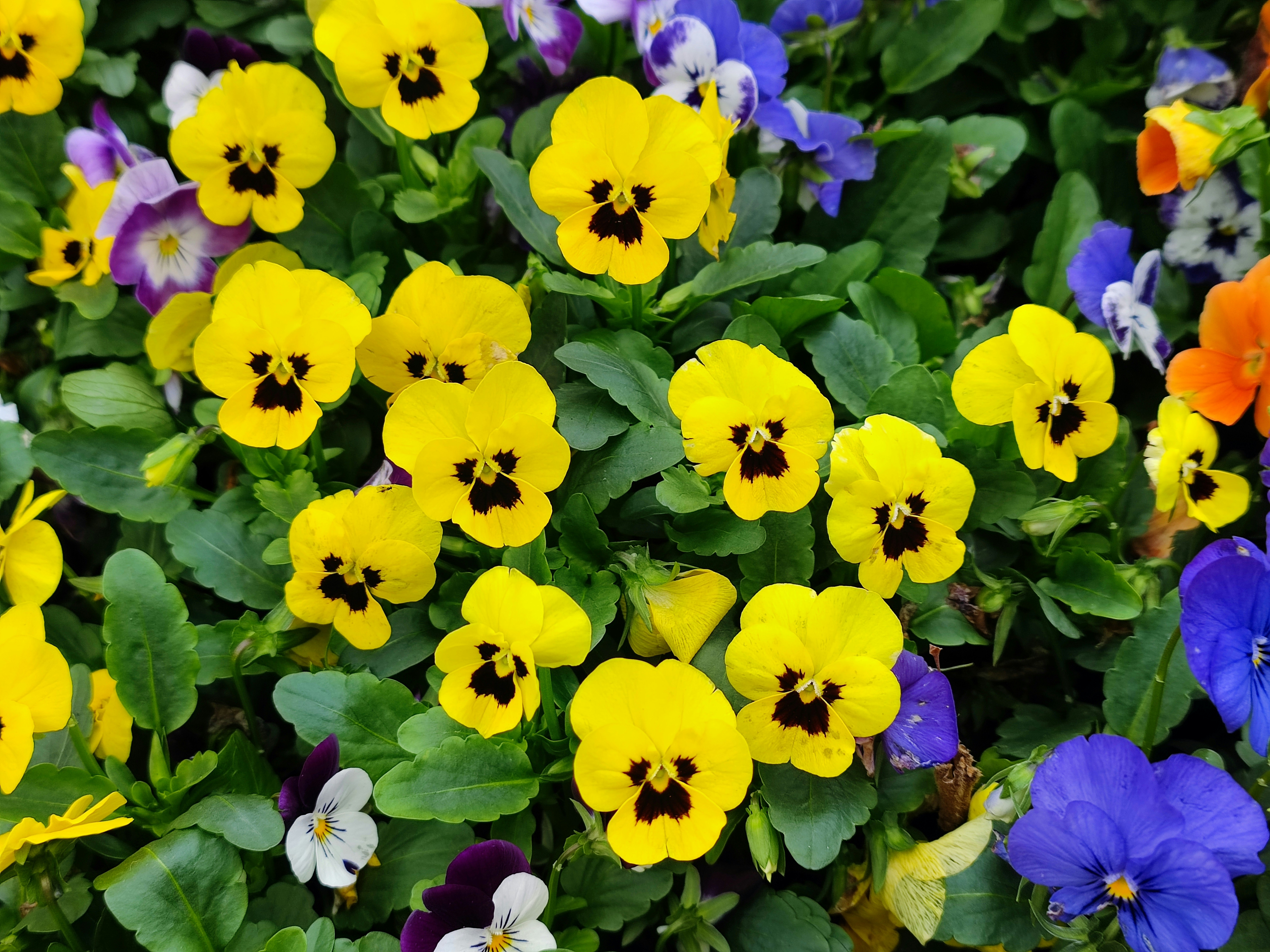 ein Blumenstrauß, der im Gras liegt