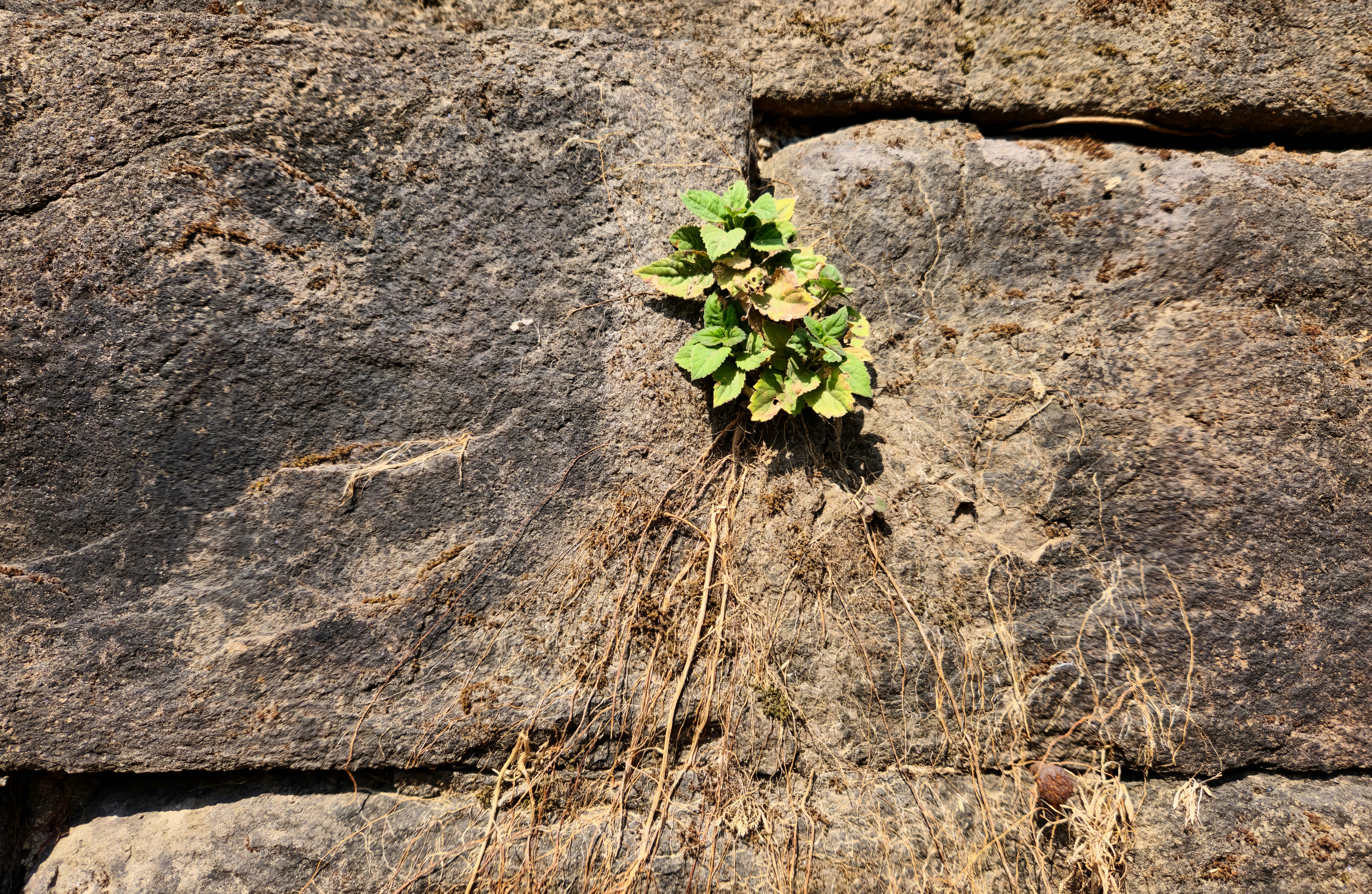 Photo by zoshuacolah