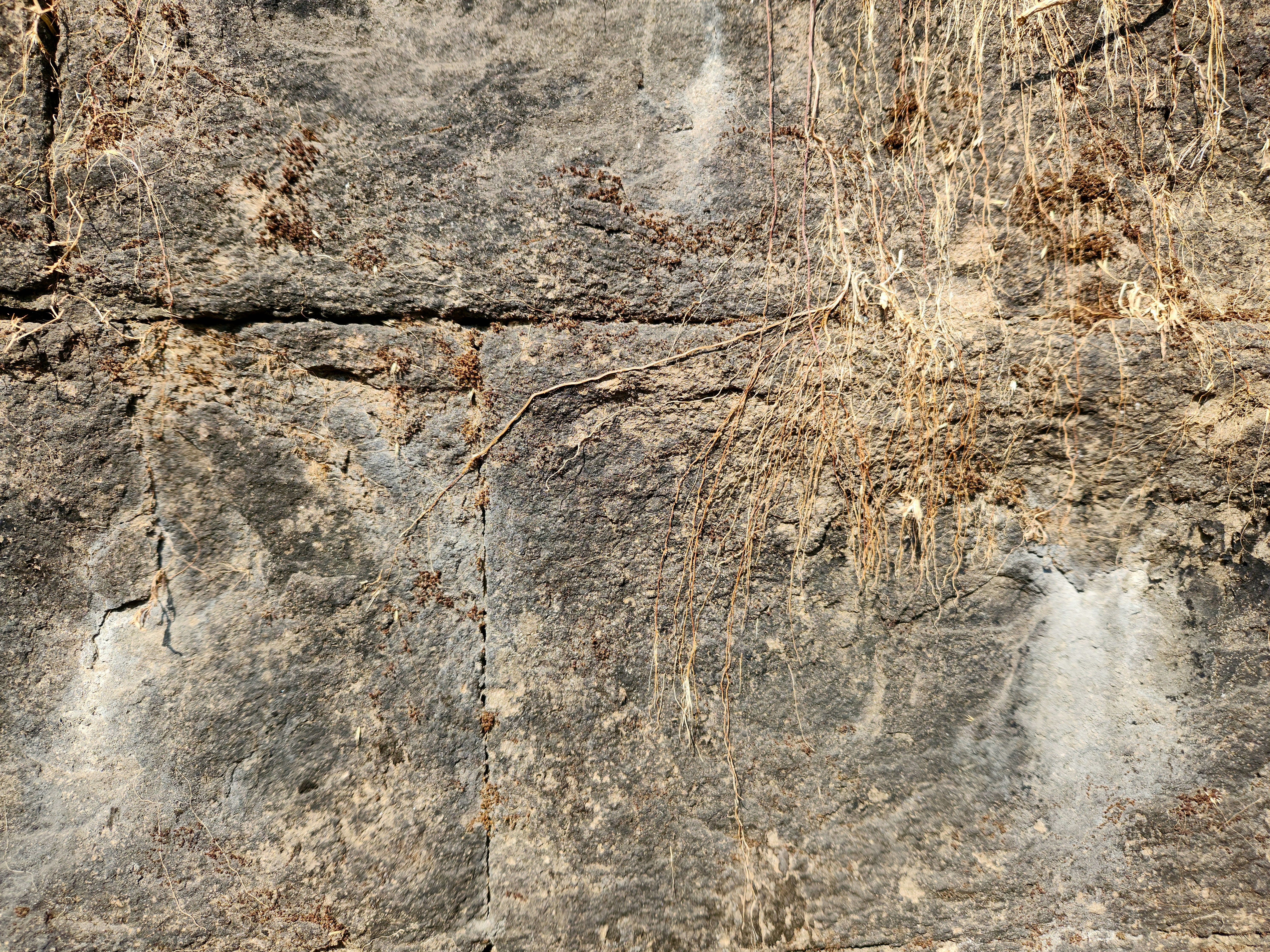 Photo by zoshuacolah