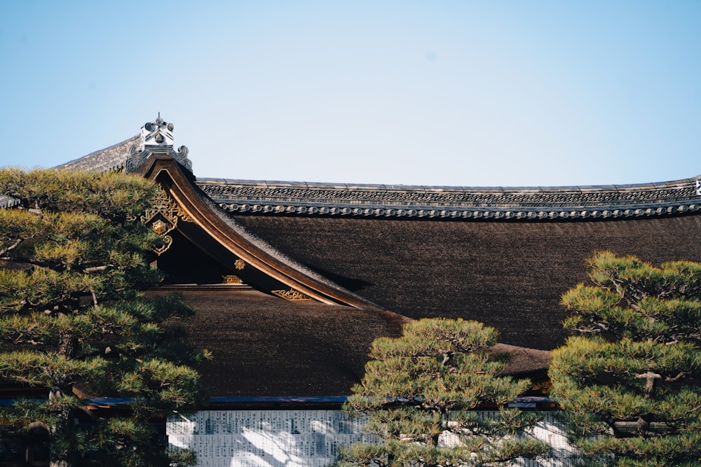 the roof of a building with pine trees in front of it