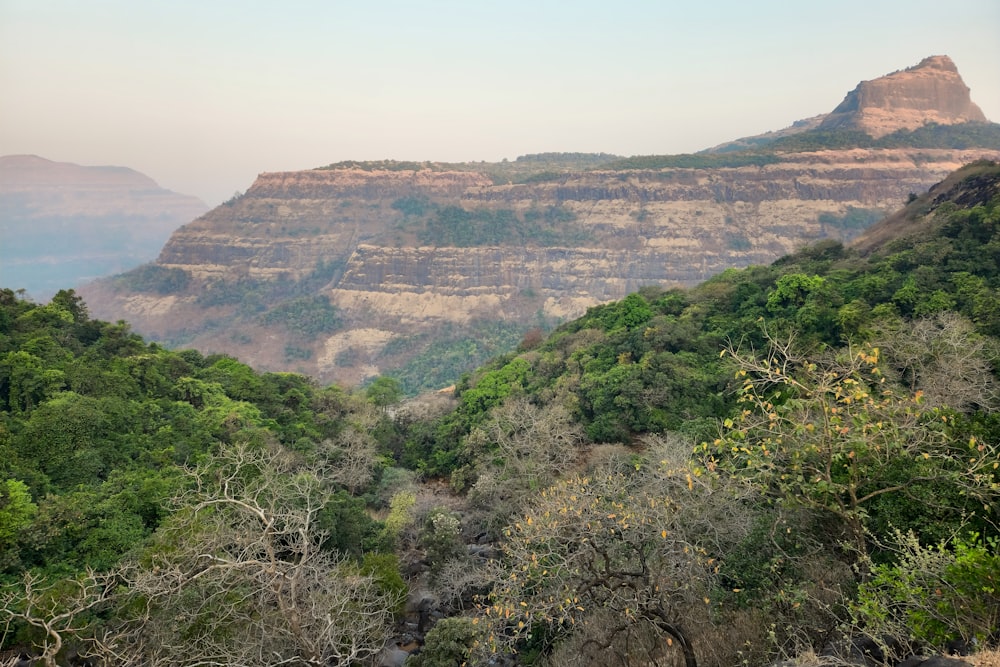 a view of a mountain range with trees and bushes