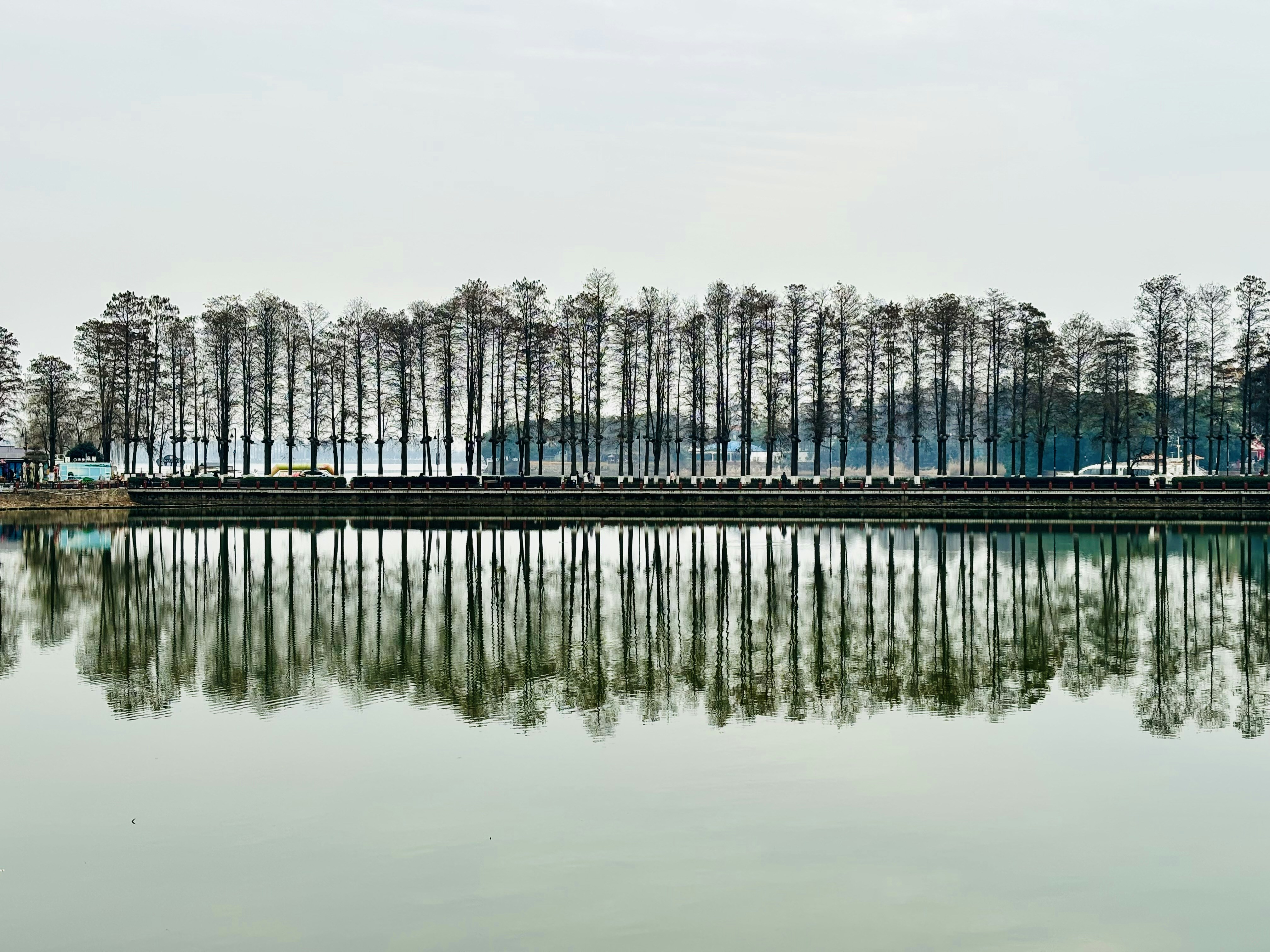 East Lake Scenic Area photo 2