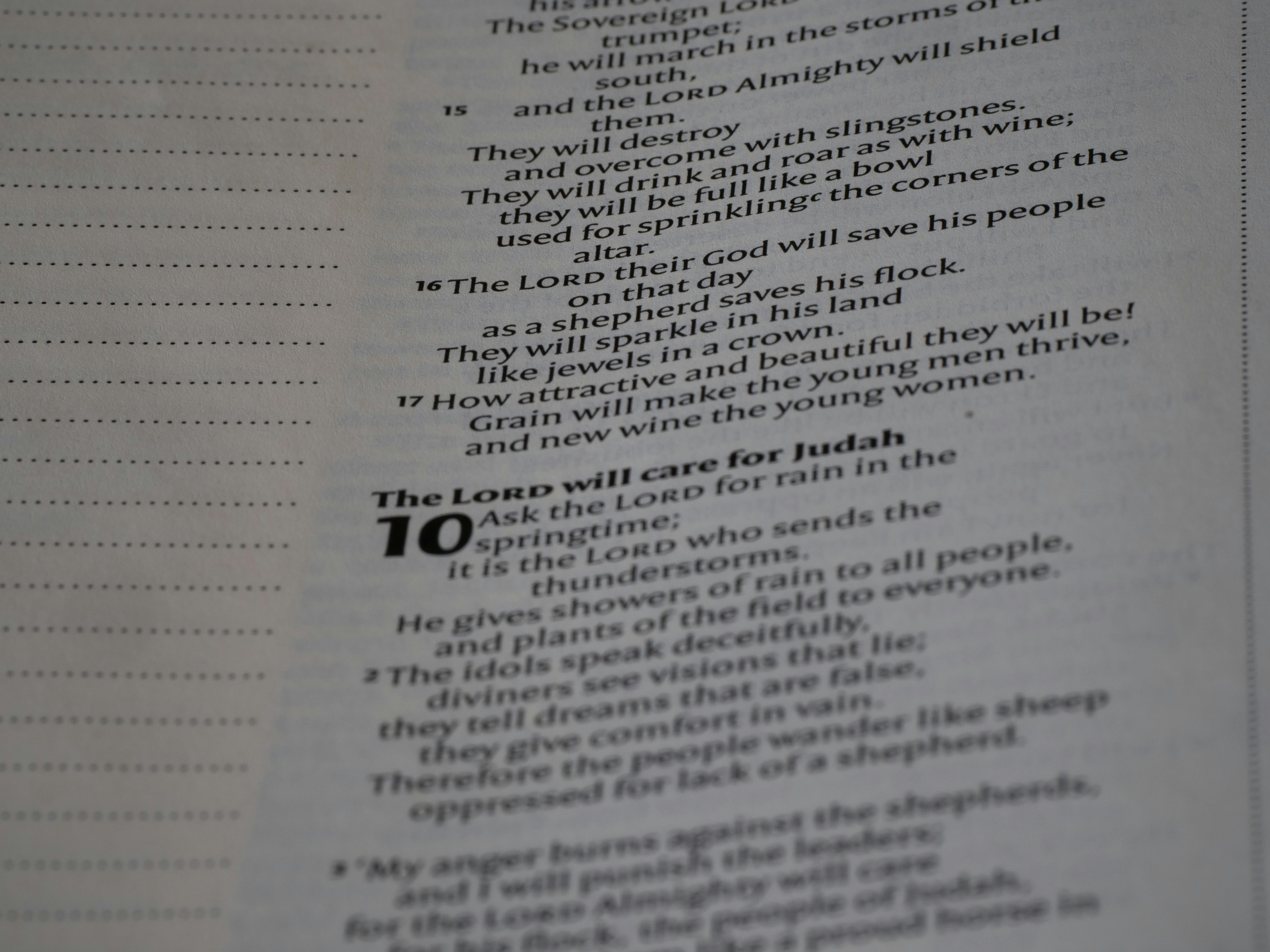 close up, bokeh, macro, blur, blurred background, close focus, bible, old testament, hebrew bible, christian, judaism, history, text, reading, bible study, devotions, New International Version, type, typography, canon, christianity, scripture, old testament, hebrew bible, minor prophet, Zechariah,