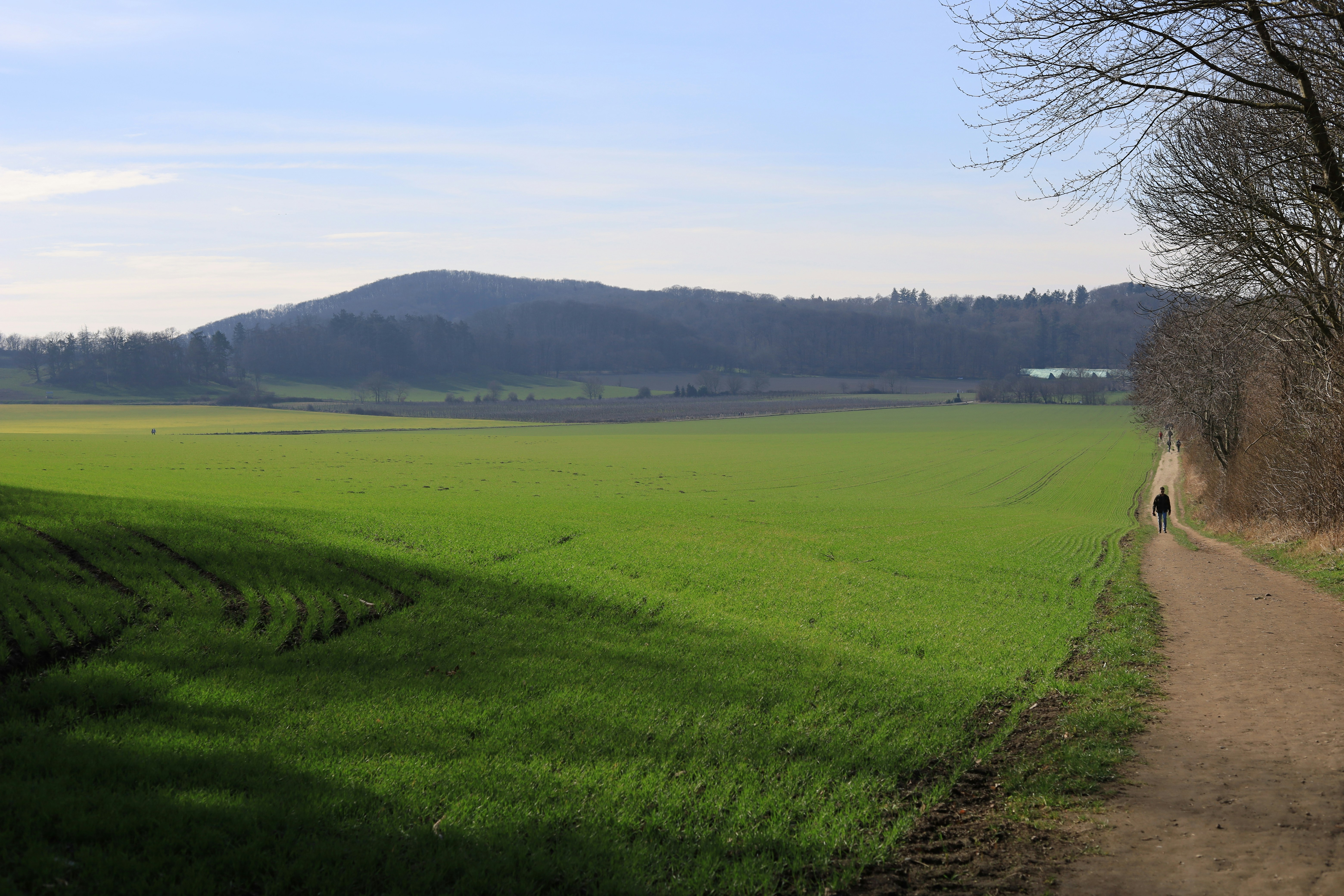 Photo by grahamwyphotography