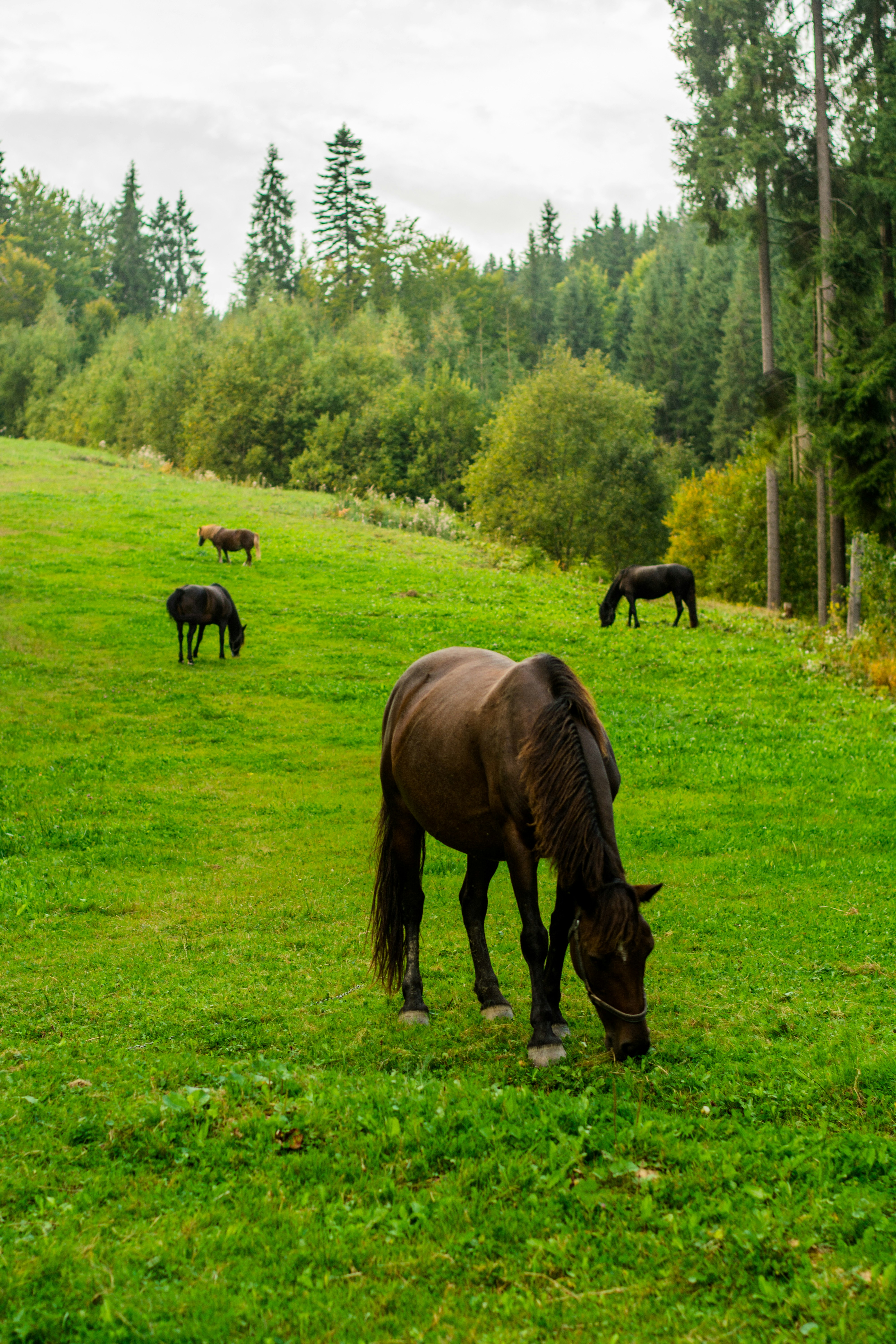 Photo by eugenivy_now