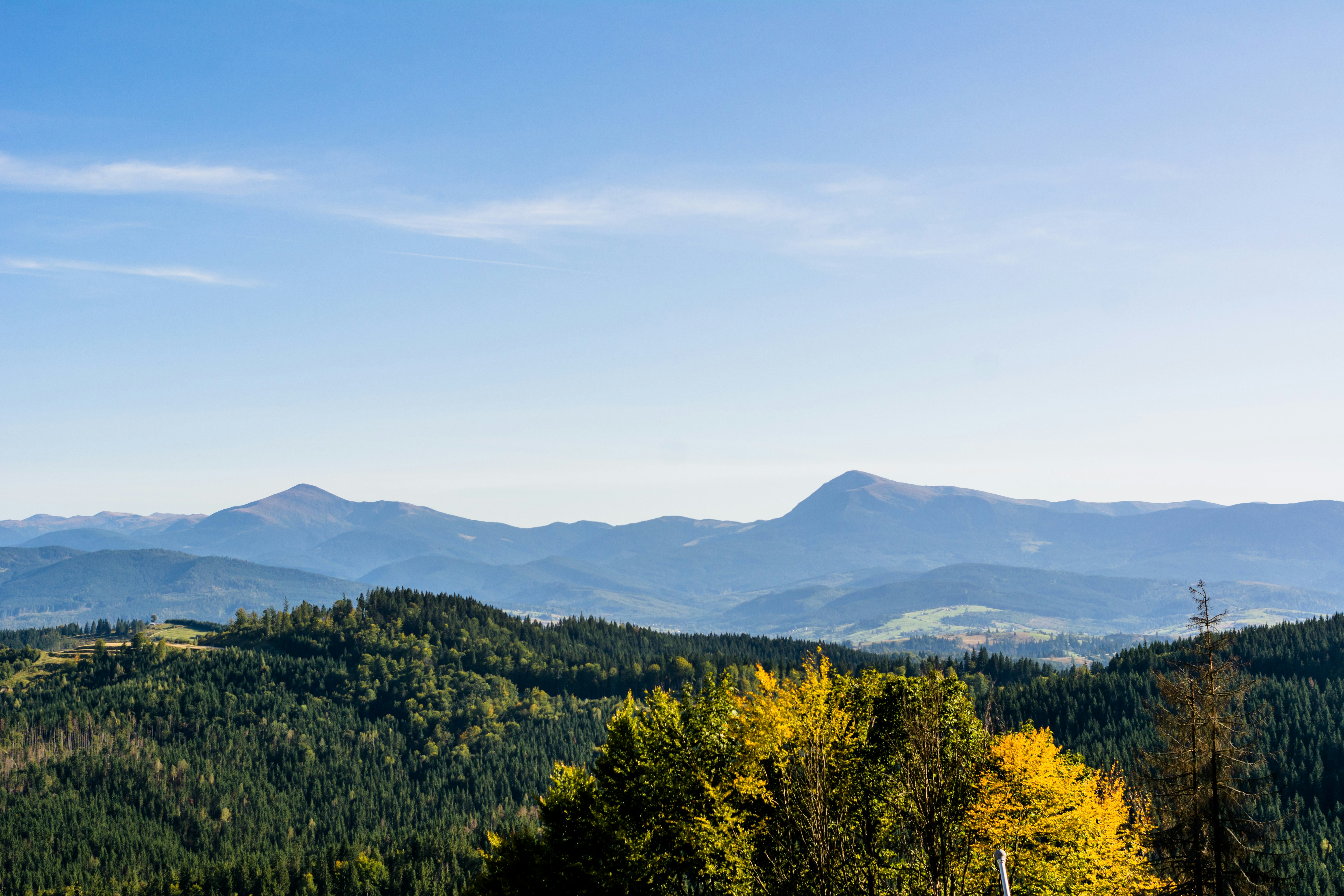 Photo by eugenivy_now