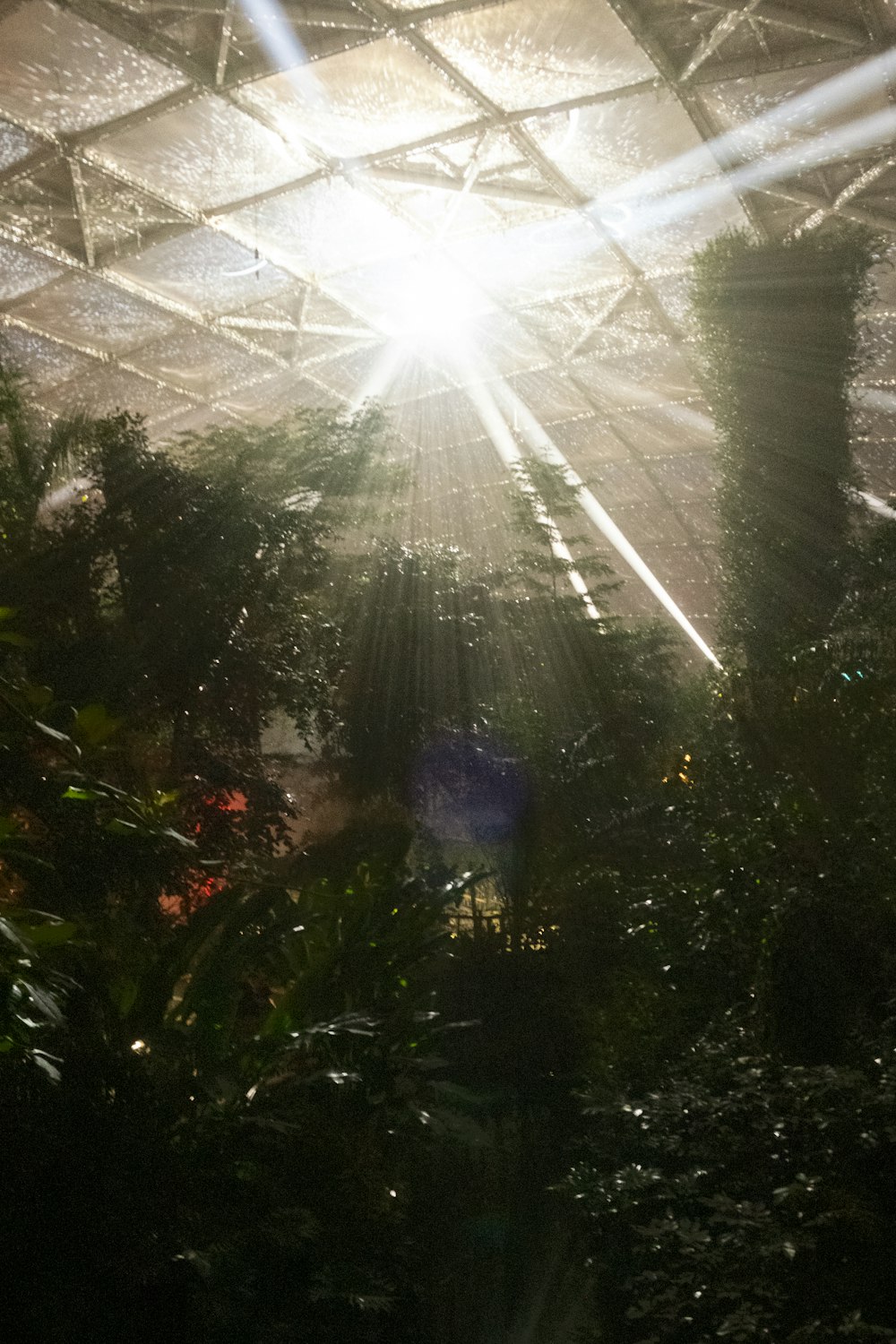the sun shines brightly through the roof of a greenhouse