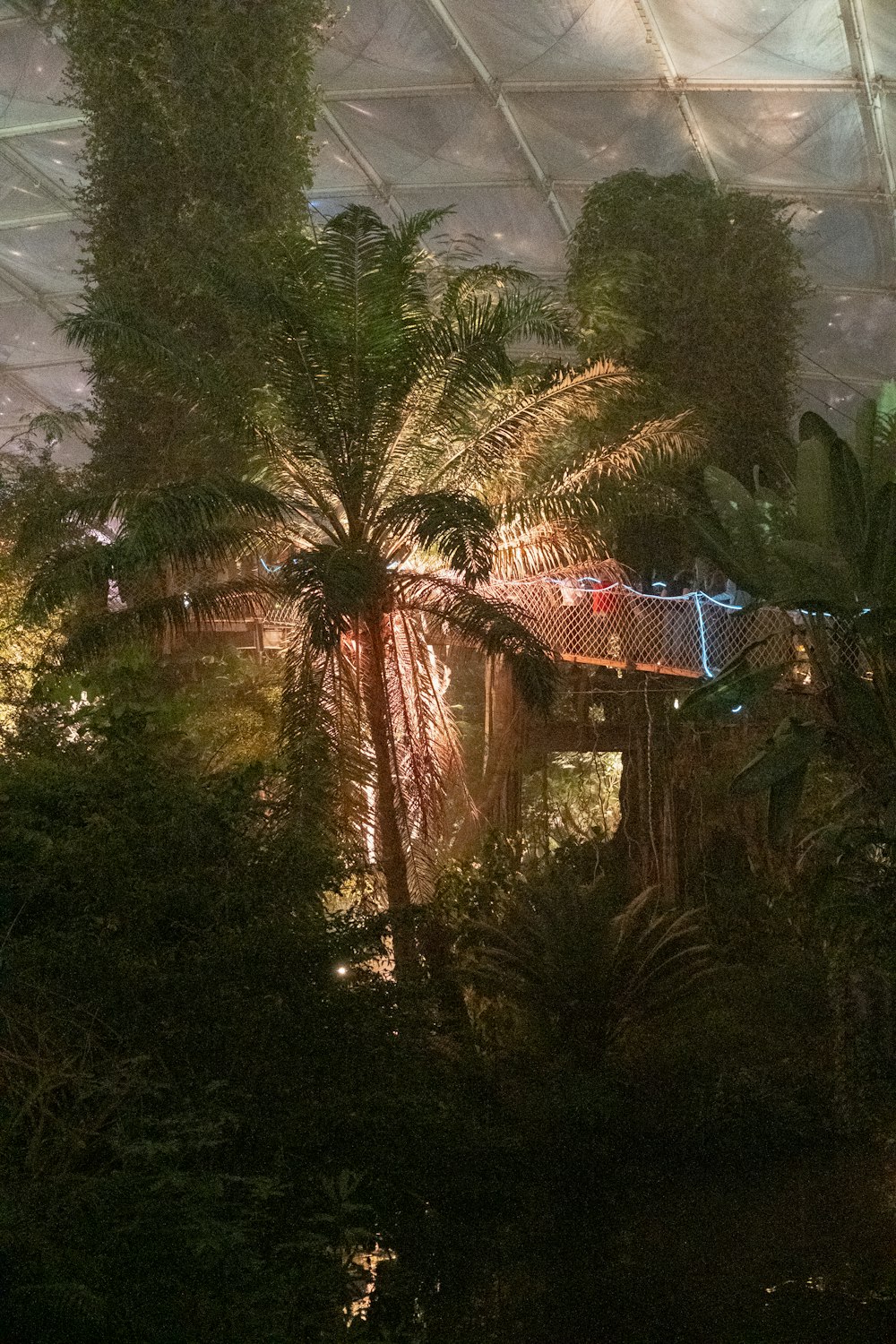 a view of the inside of a greenhouse