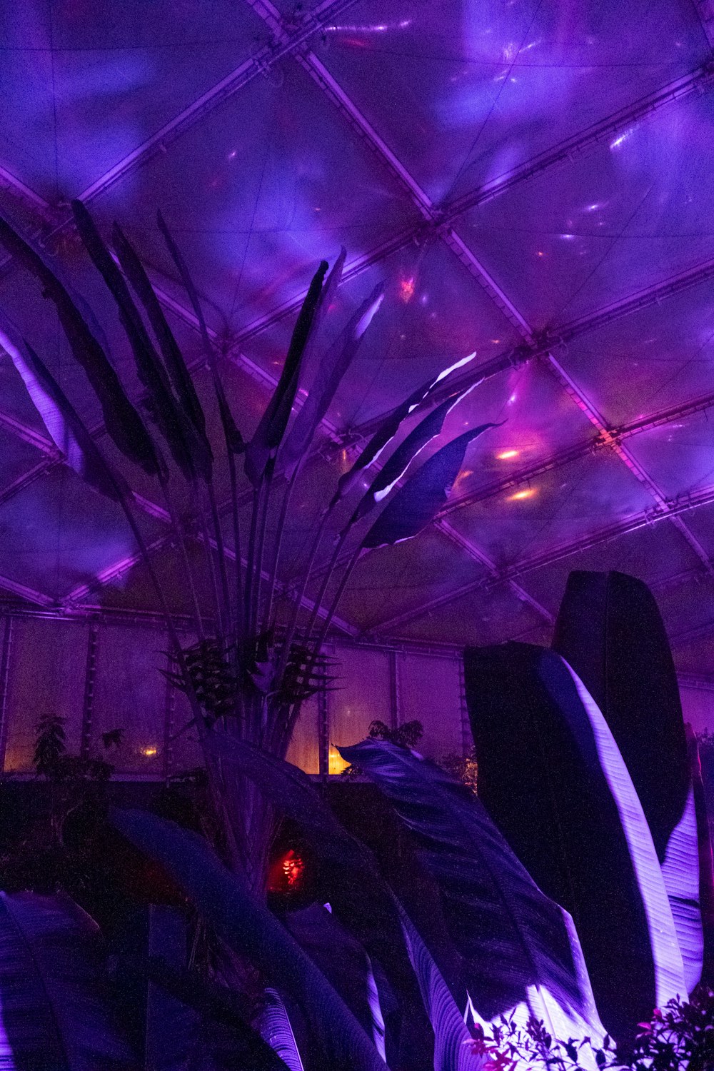 a room filled with lots of plants under a purple light