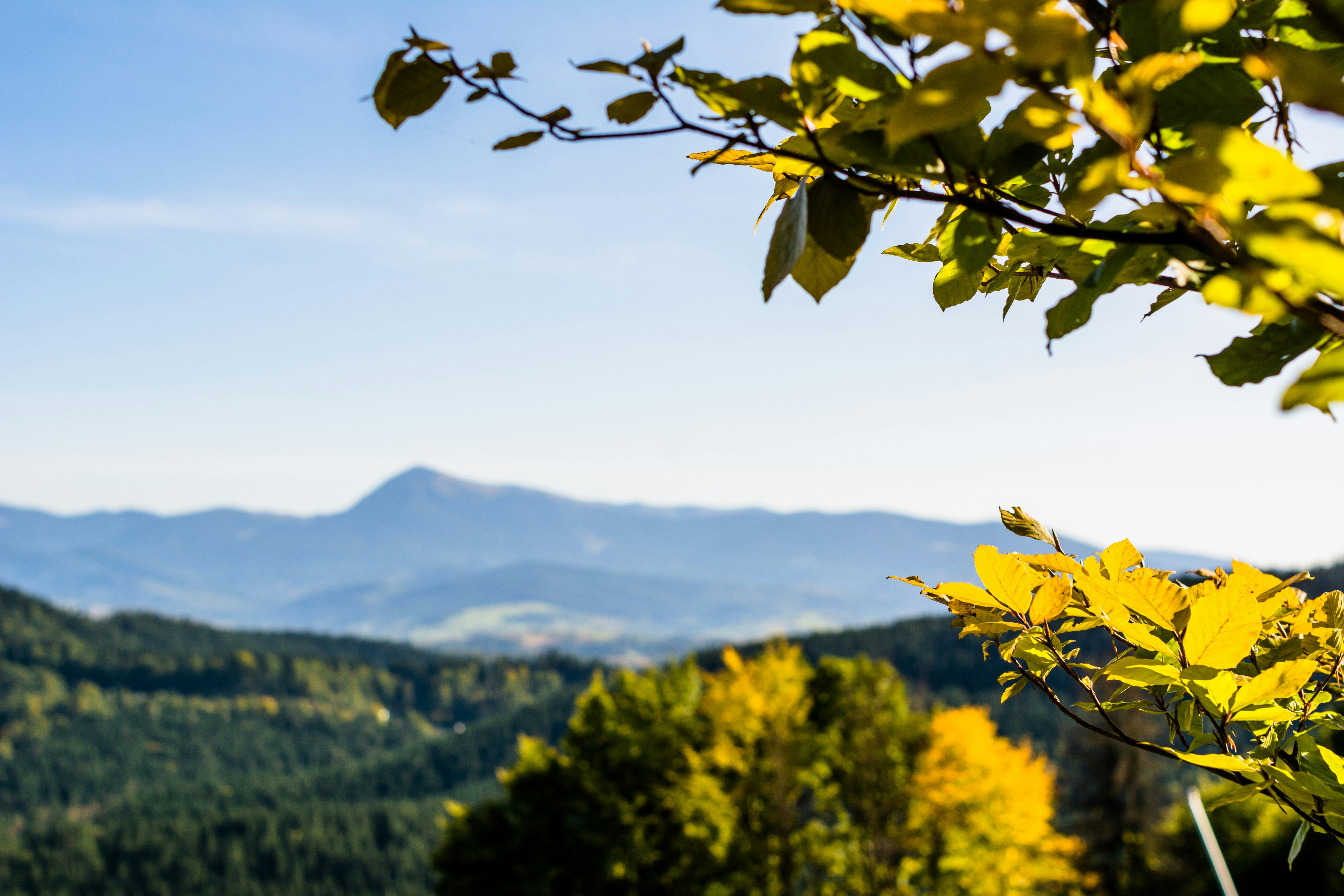 Photo by eugenivy_now