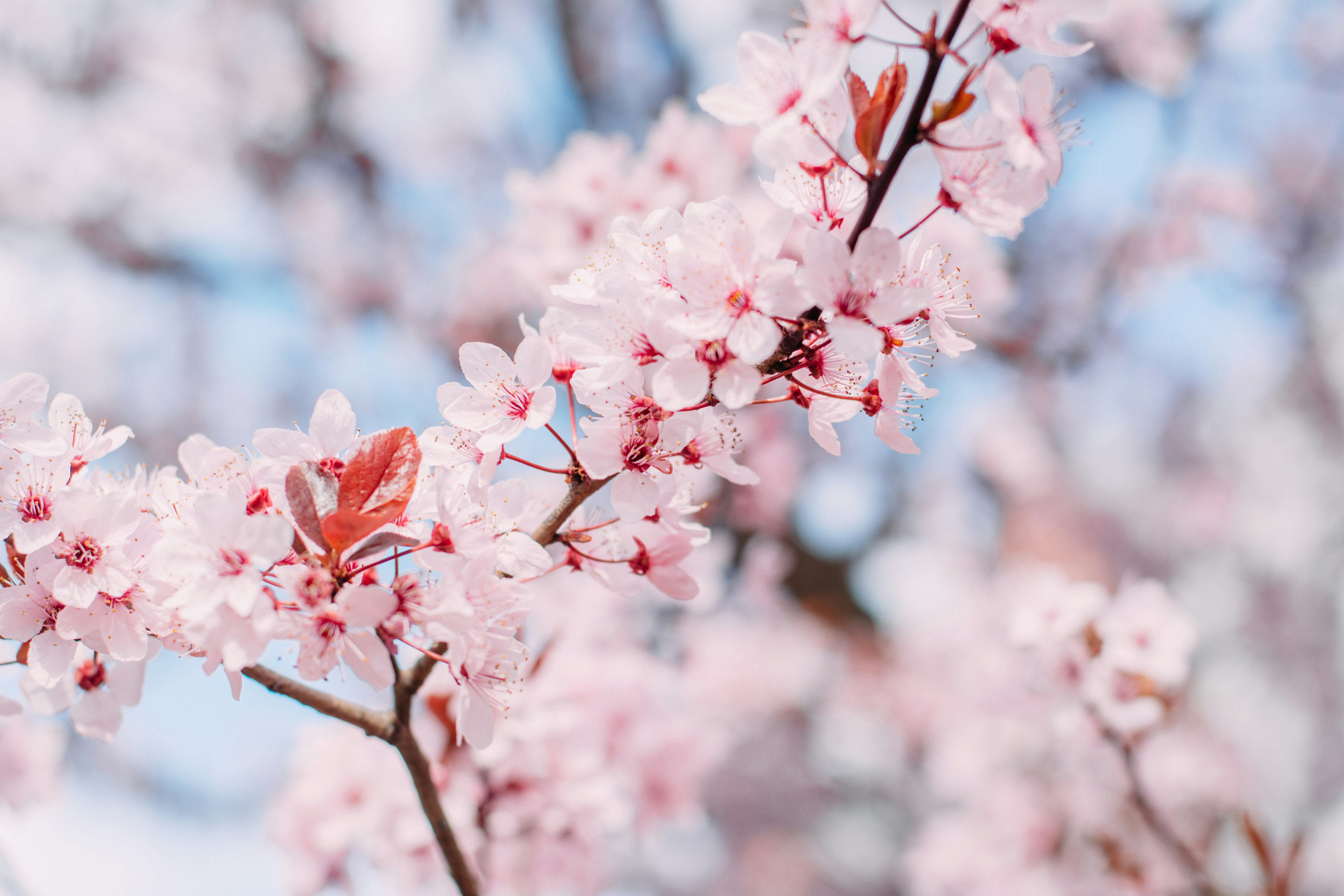 Photo by eugenivy_now