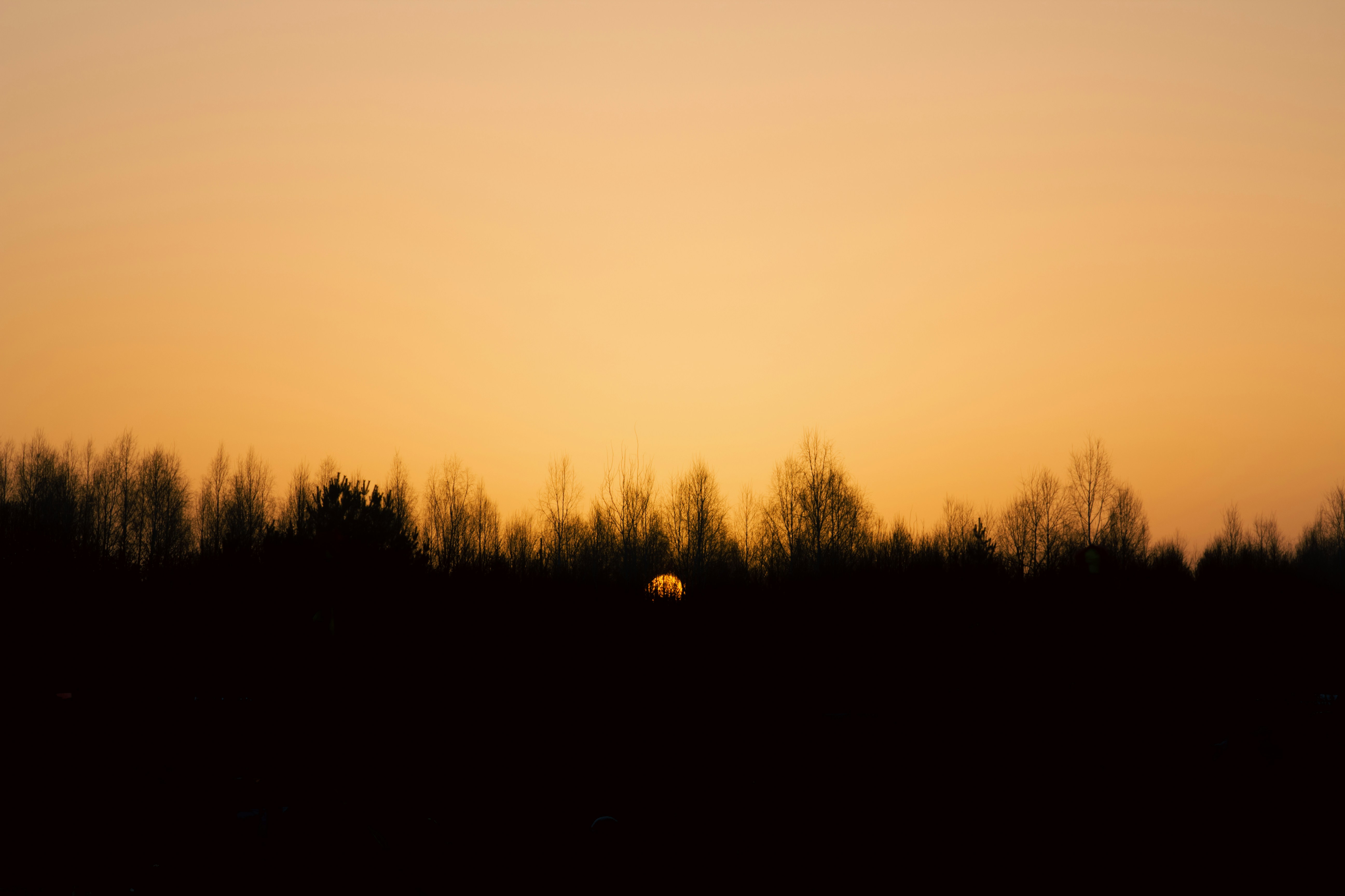 Photo by sam_badmaeva