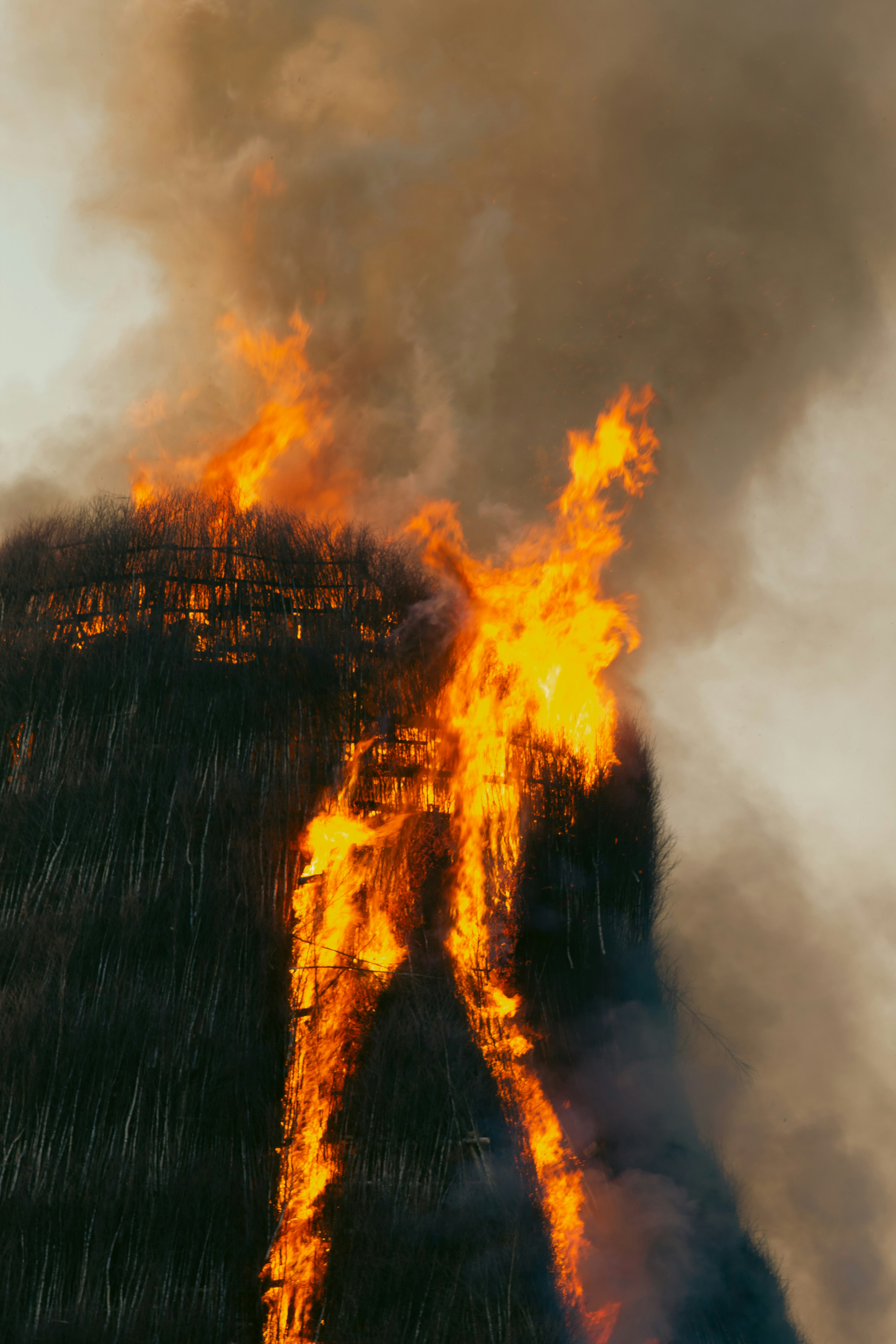 Photo by sam_badmaeva